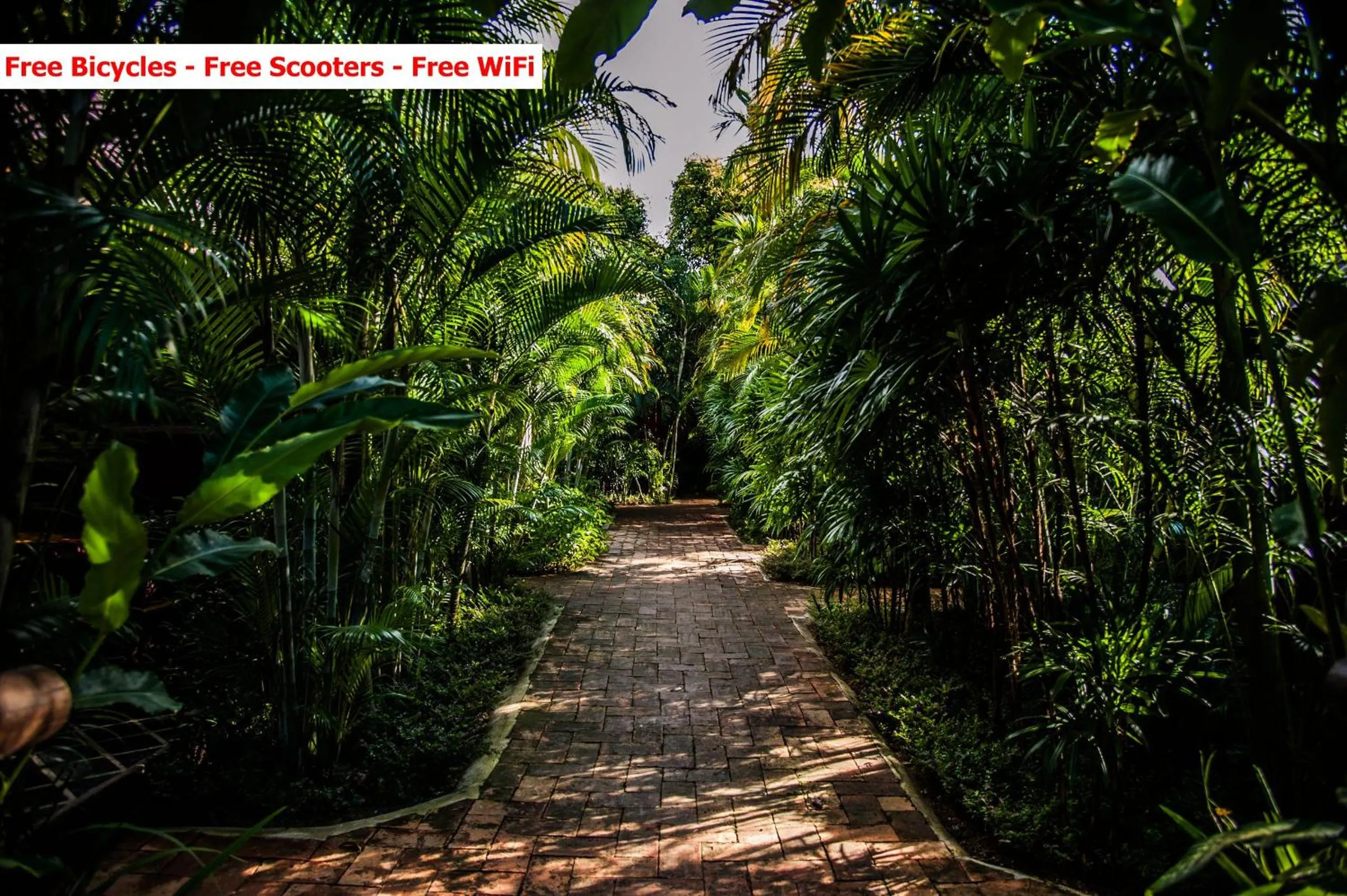Garden in Baanpong Lodge