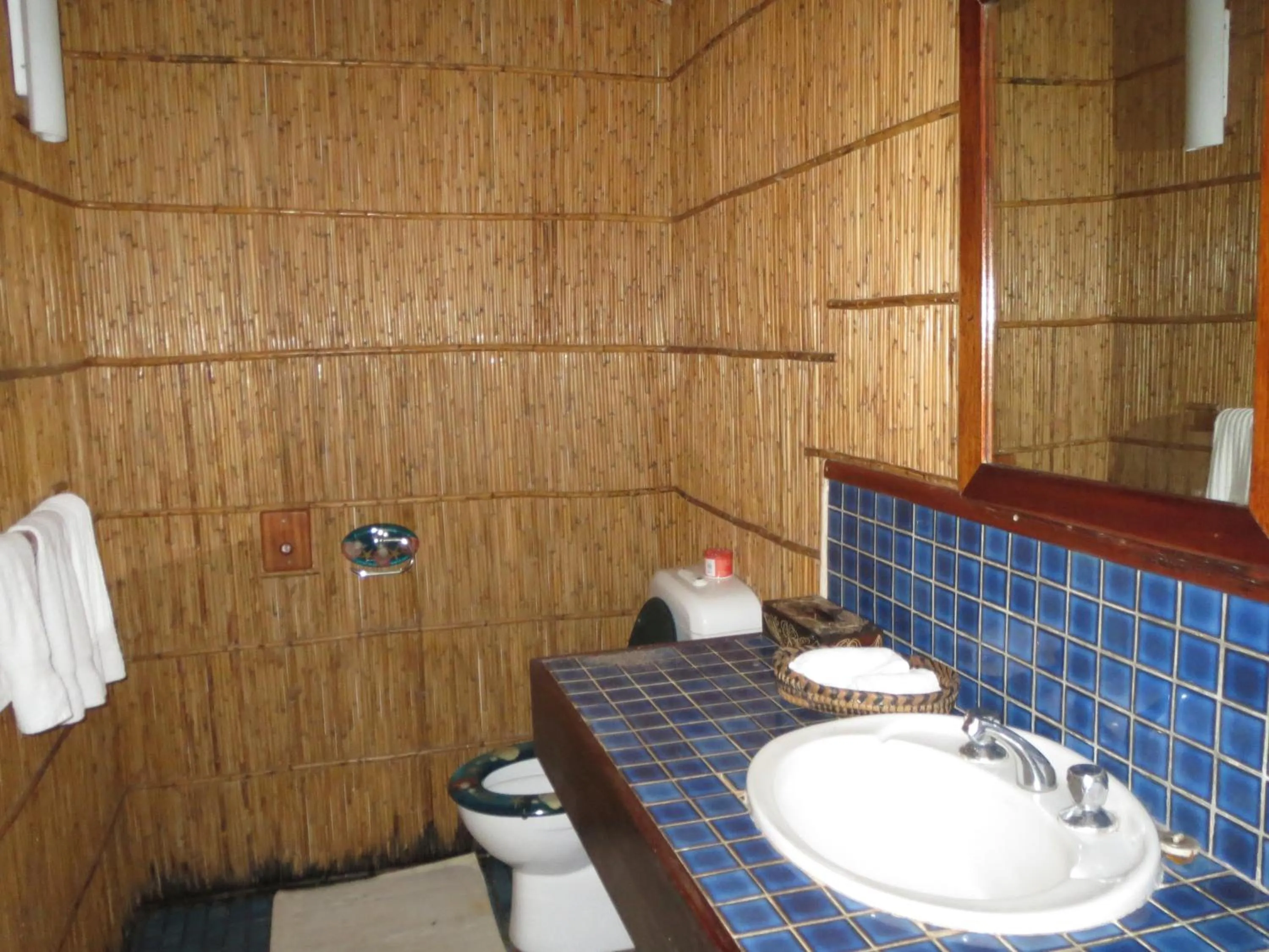 Bathroom in Maravu Taveuni Lodge