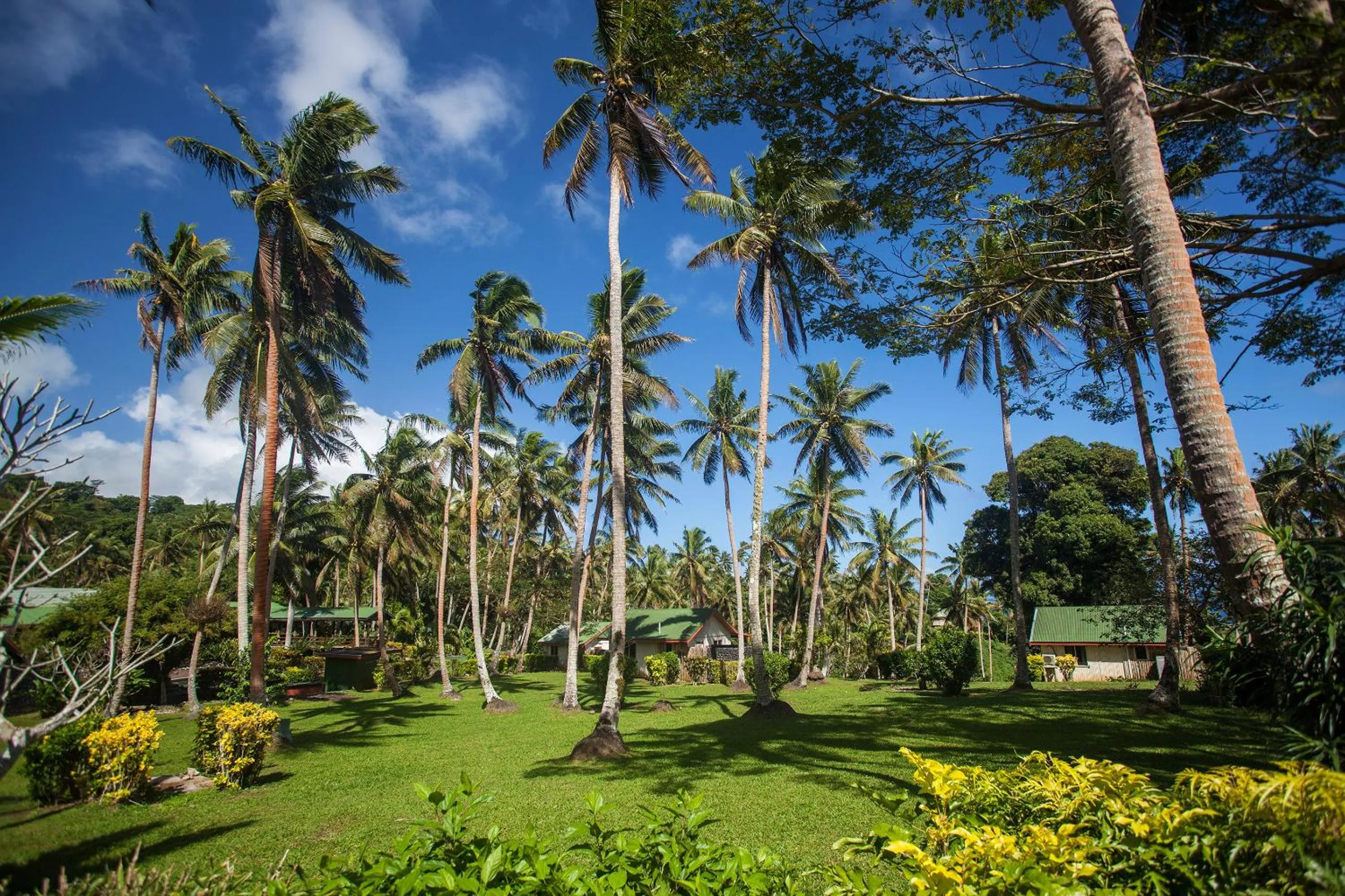 Garden in Maravu Taveuni Lodge