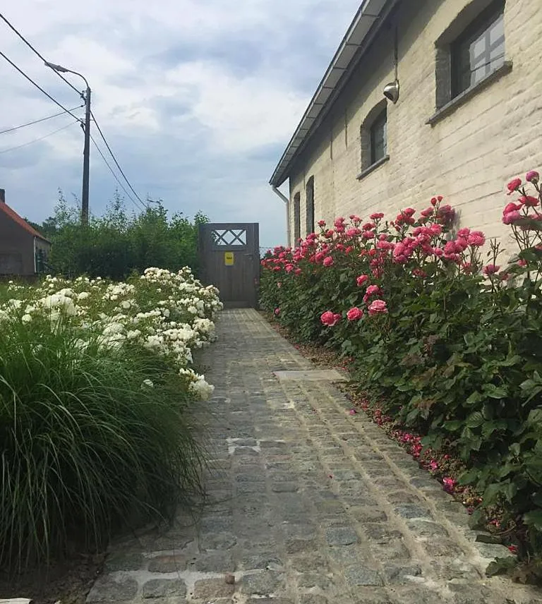 Spring in B&B Gitsdal