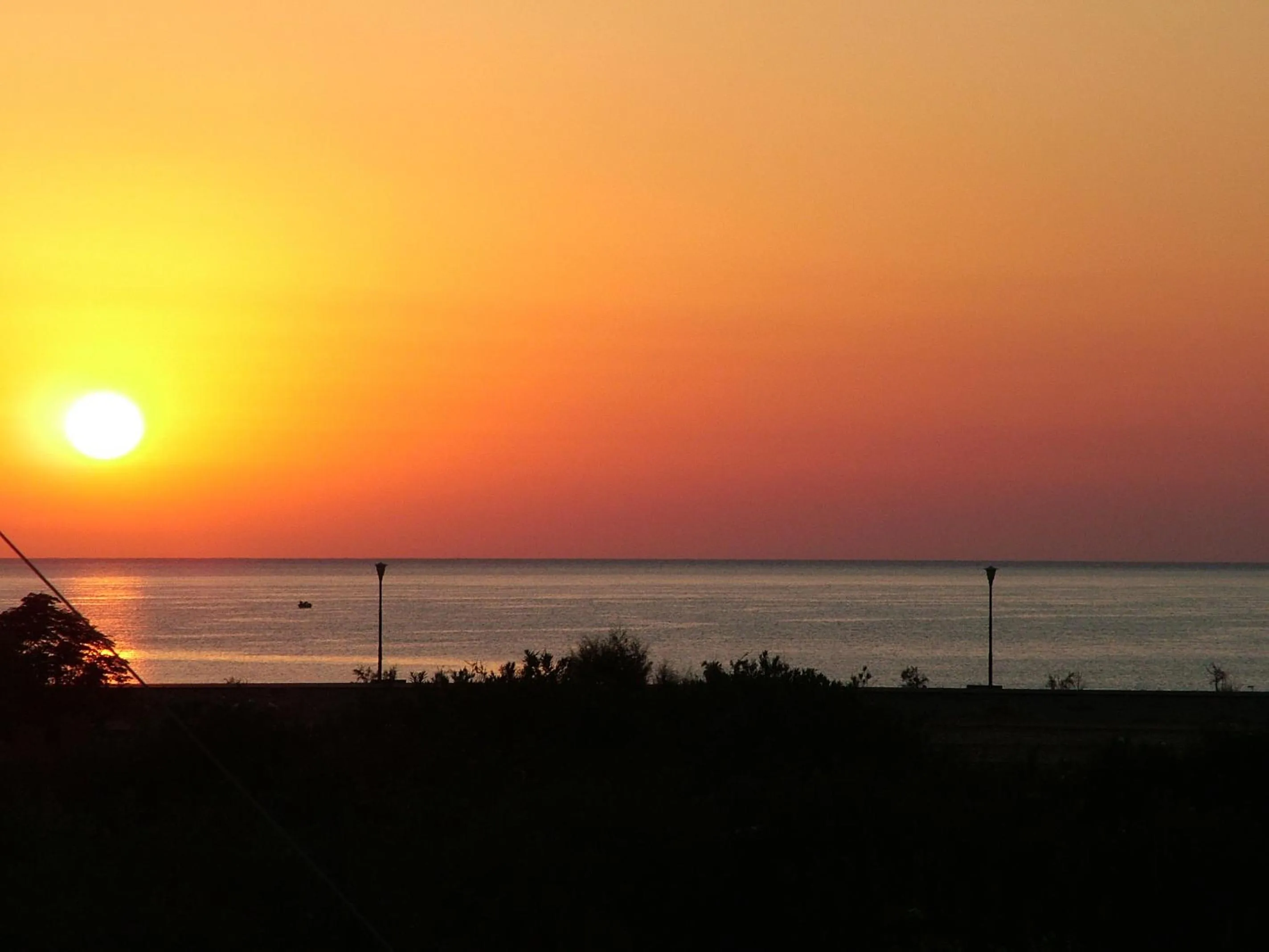 Summer in Sea Harmony