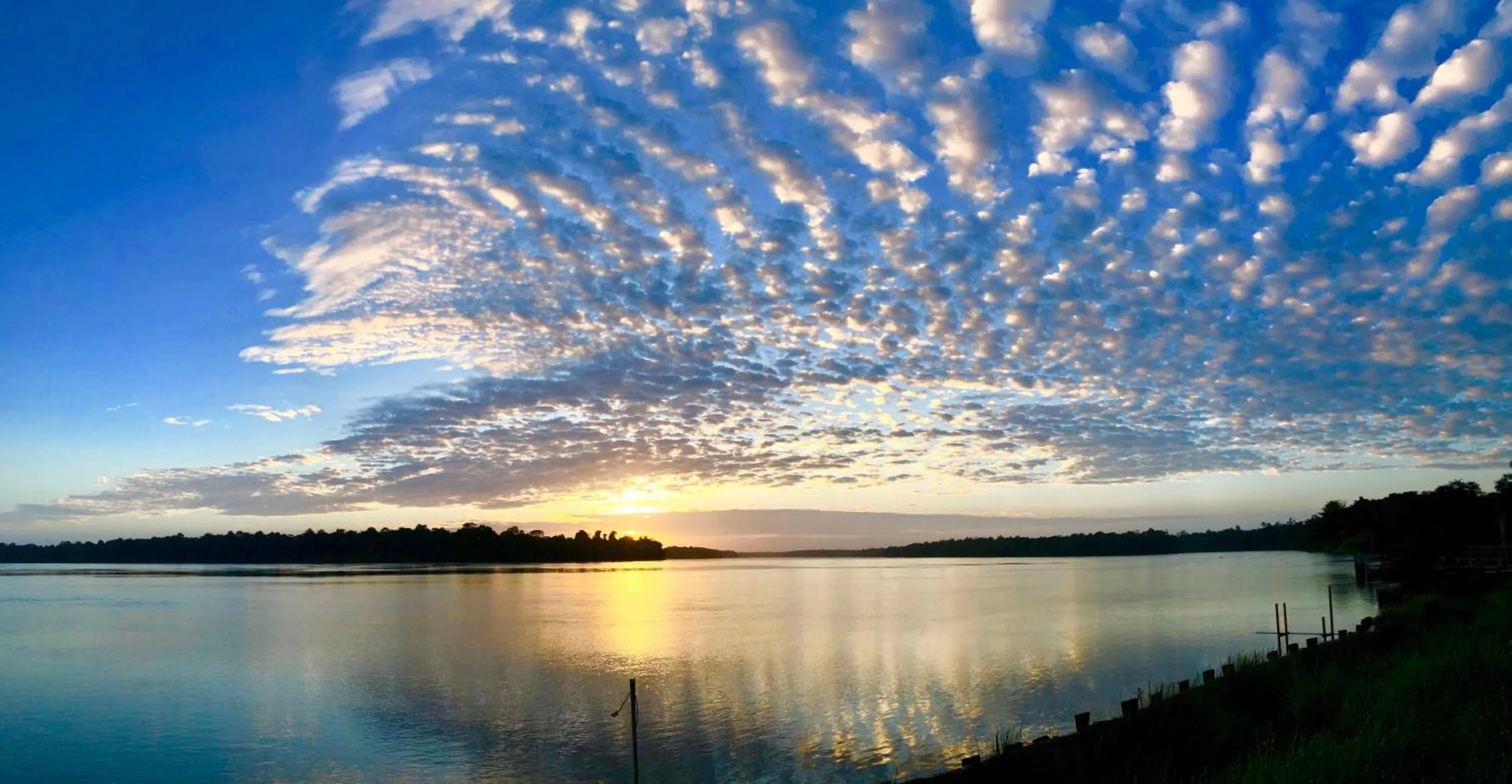 River view in Overbridge River Resort