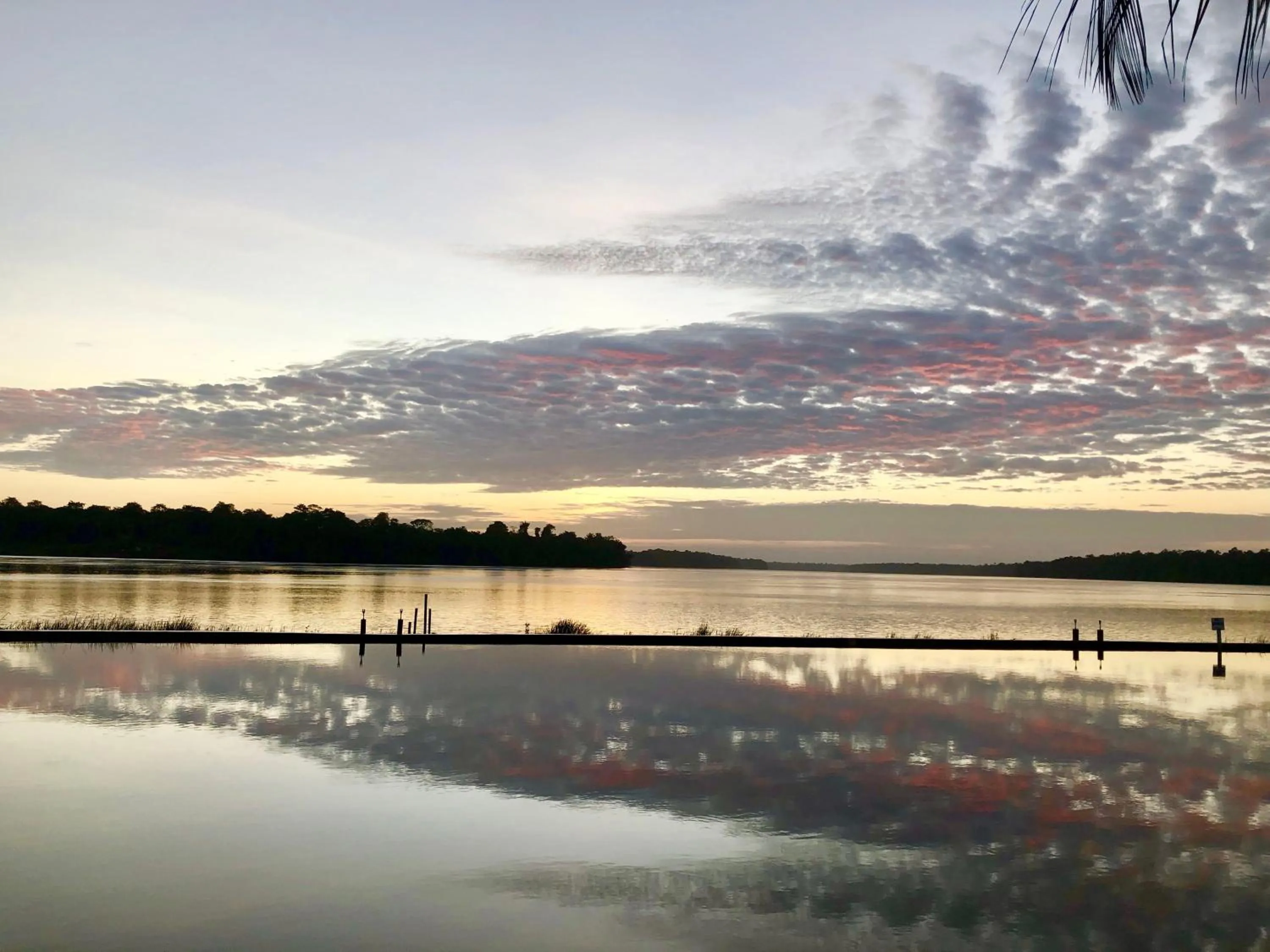 Swimming pool in Overbridge River Resort