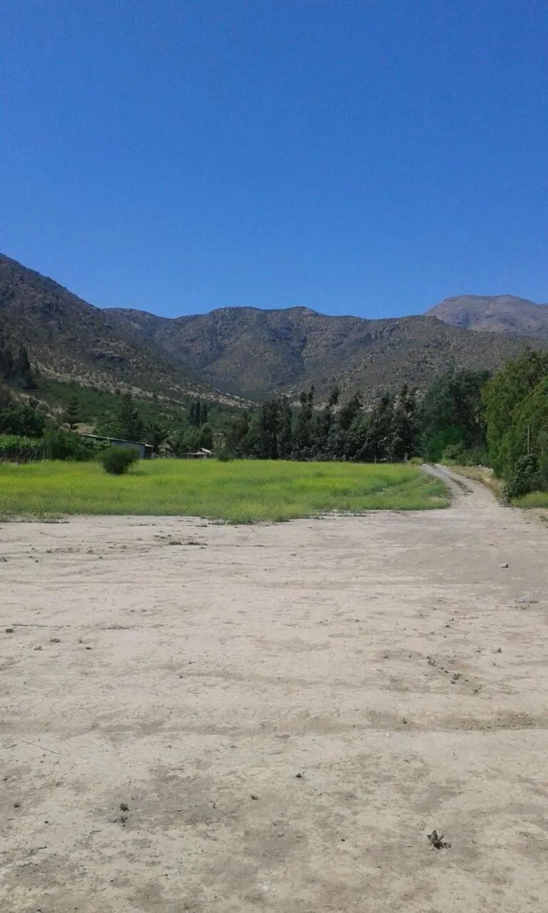 Natural landscape in Alto Ciprés