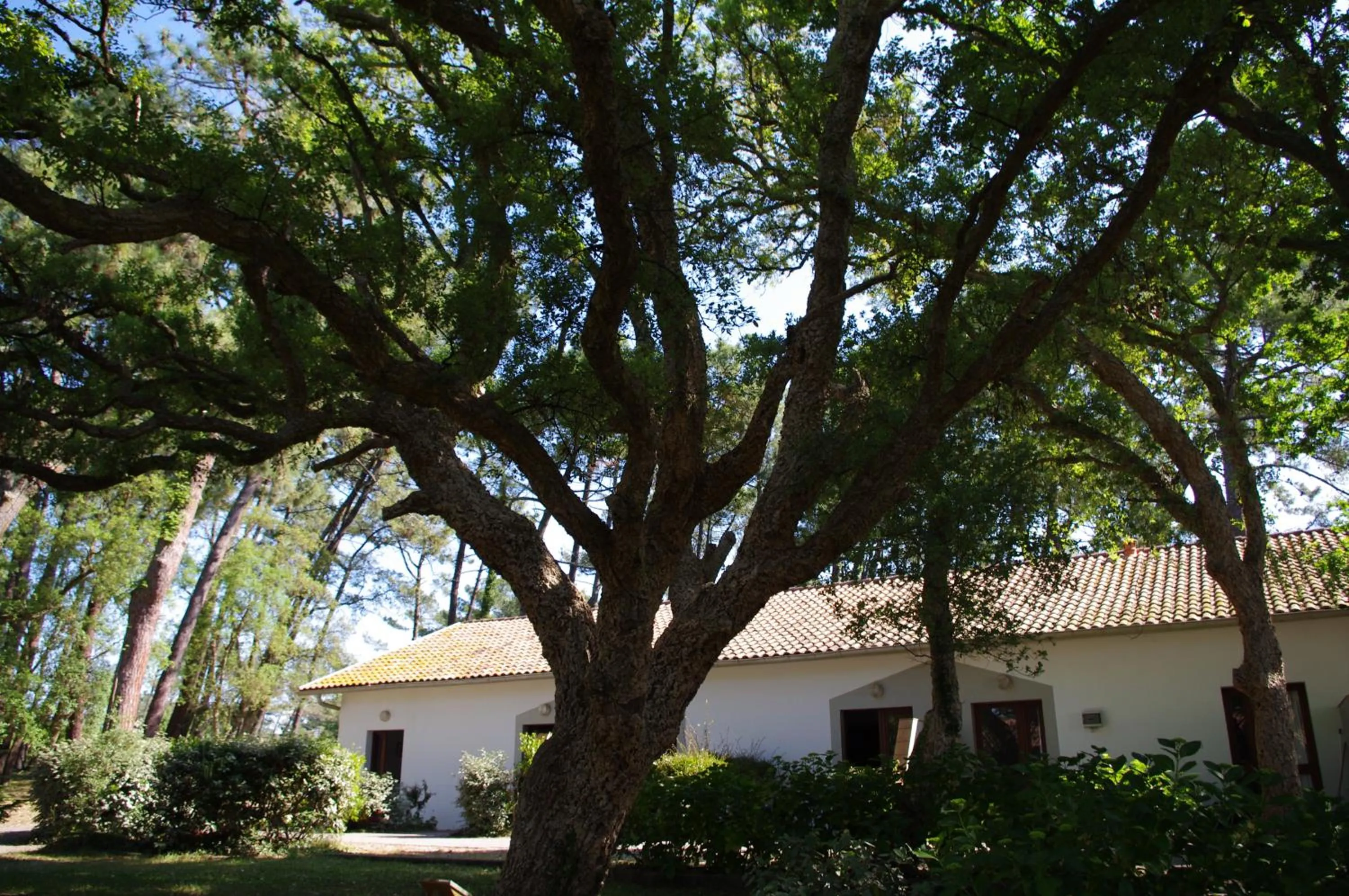 Photo of the whole room in Cap Océan