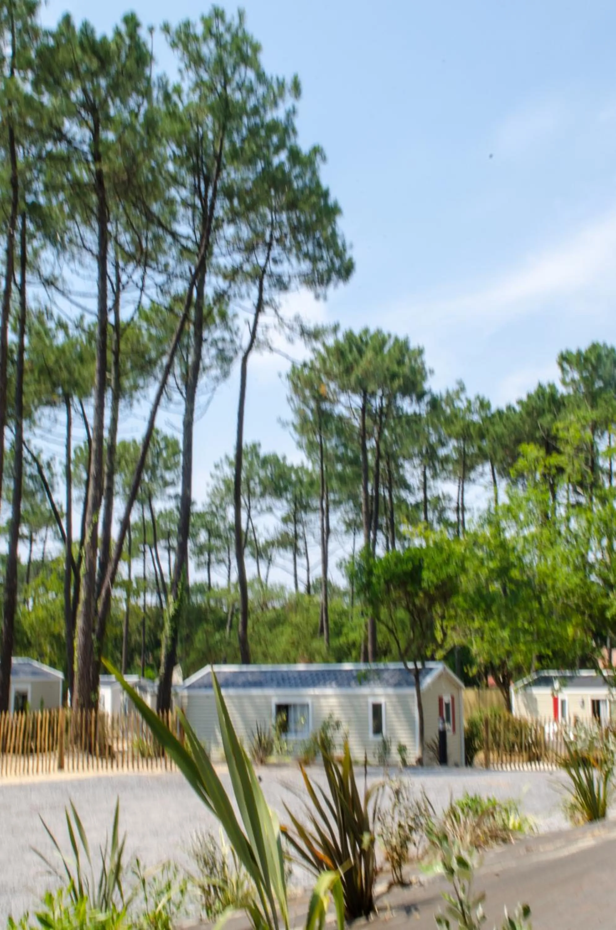 Property building in Cap Océan