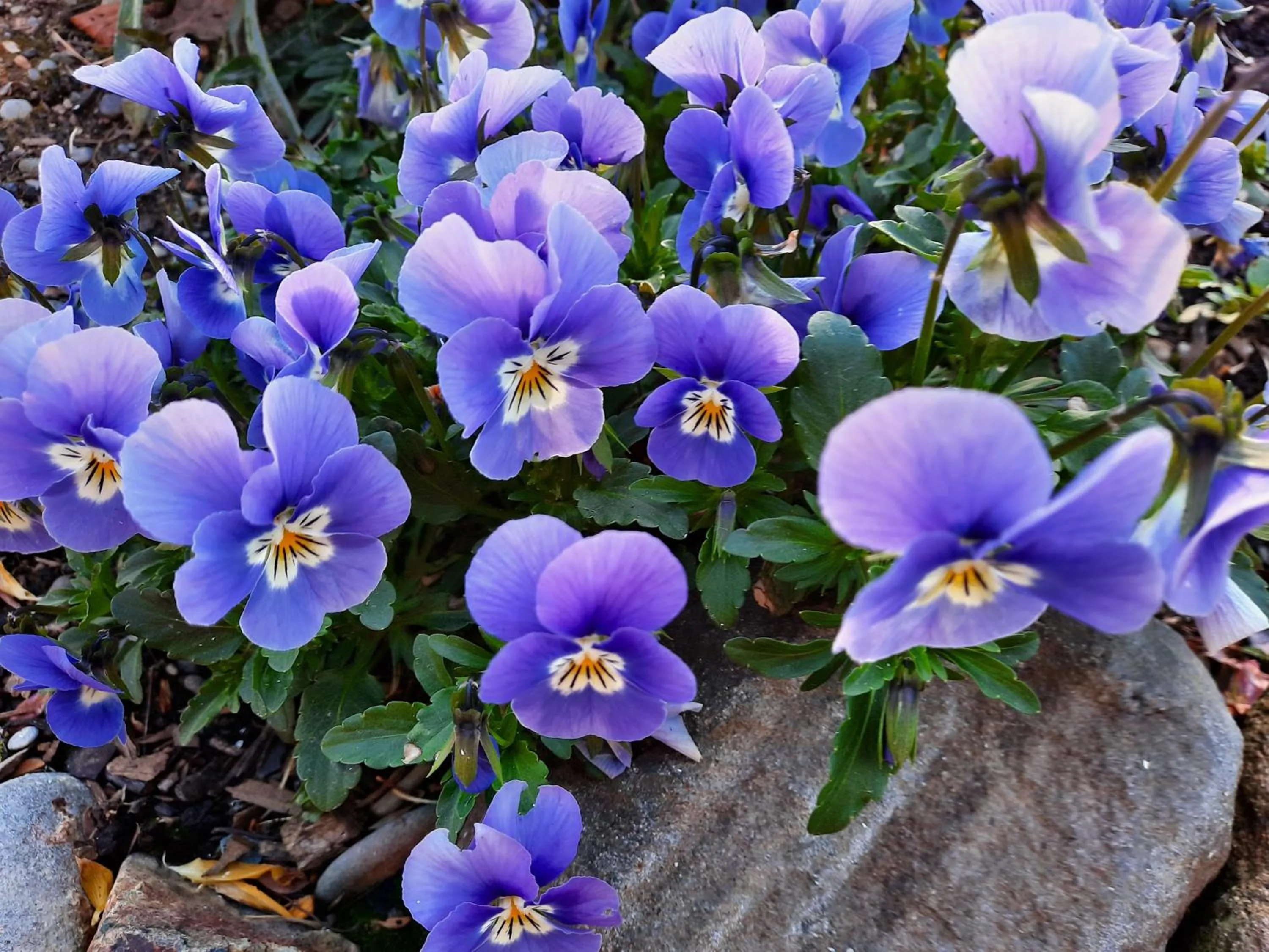 Property building in 113 On Park