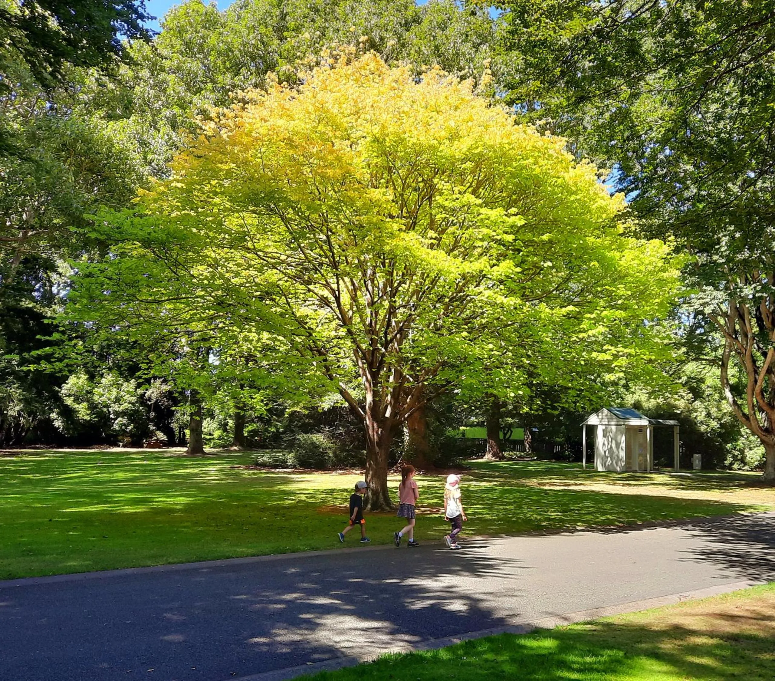 Natural landscape in 113 On Park