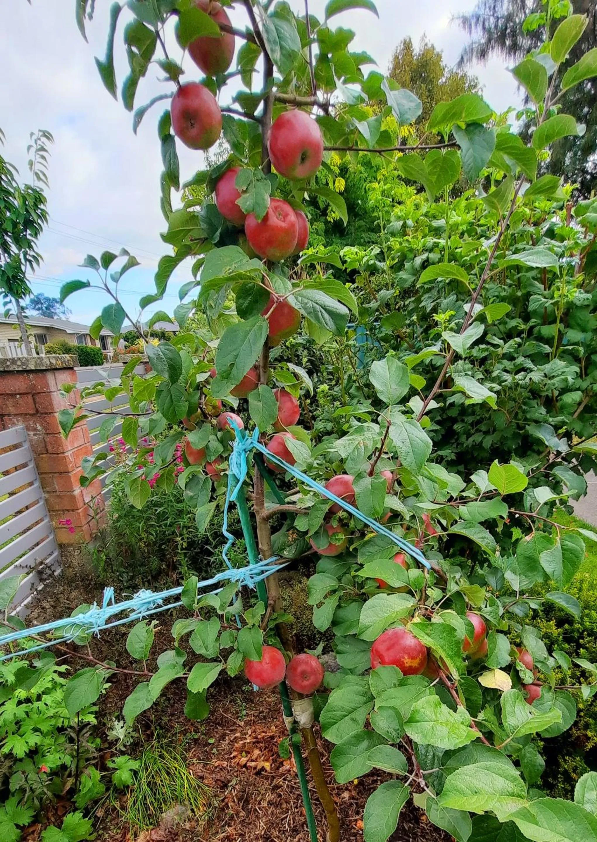Garden in 113 On Park