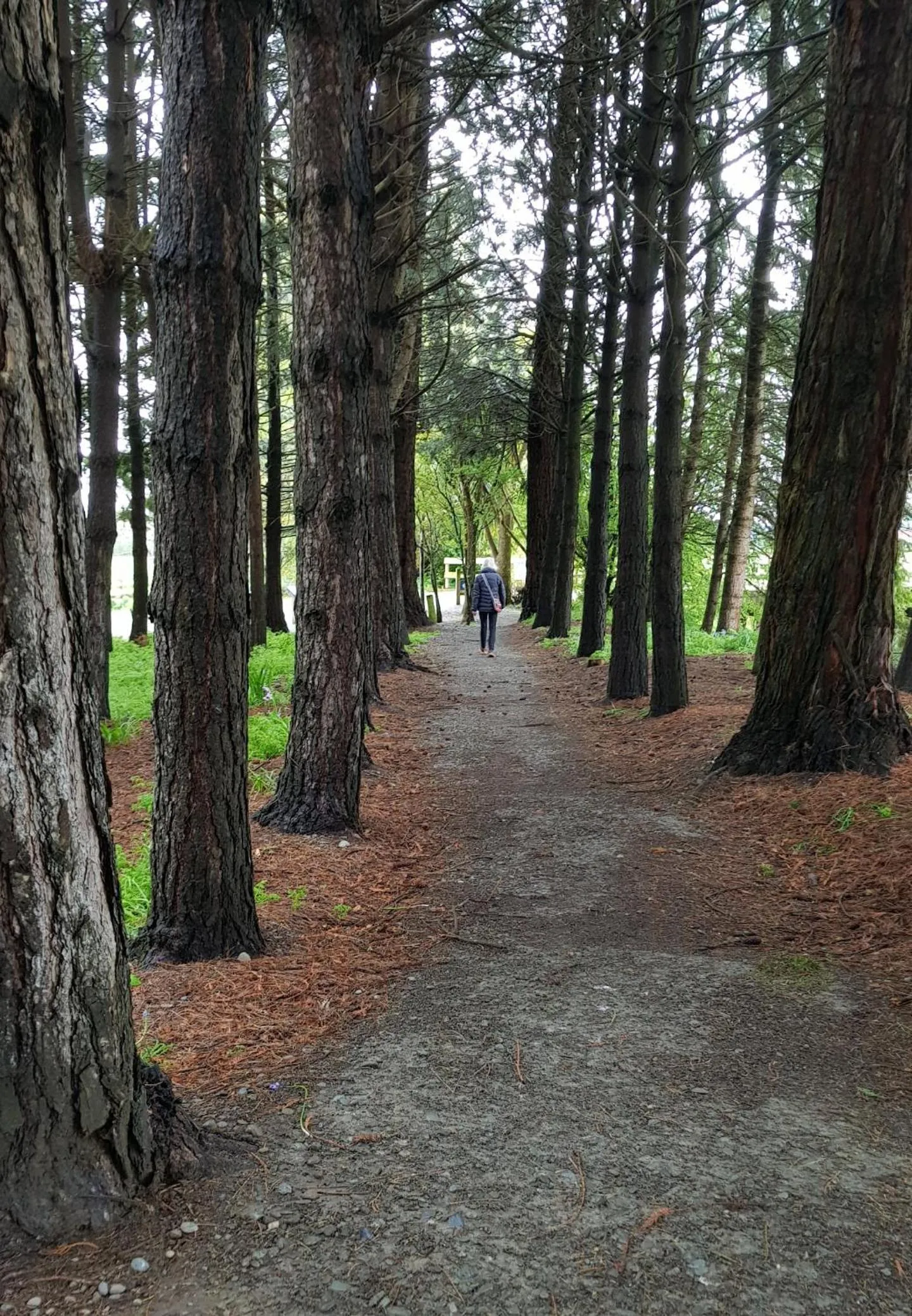 Off site in 113 On Park