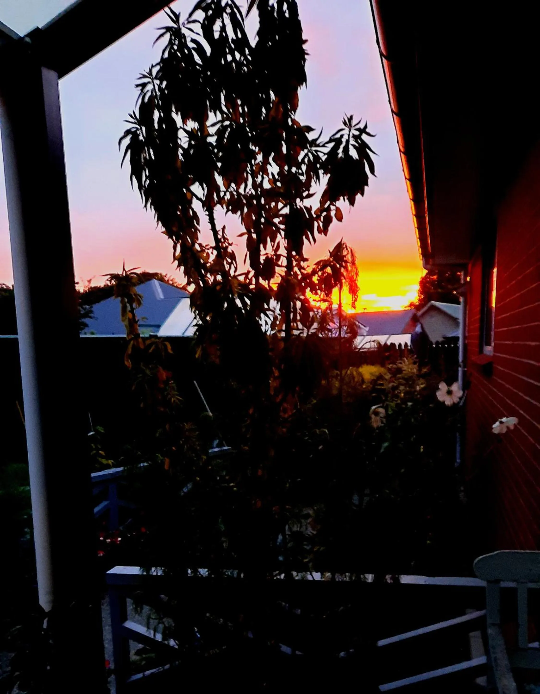 Sunrise in 113 On Park