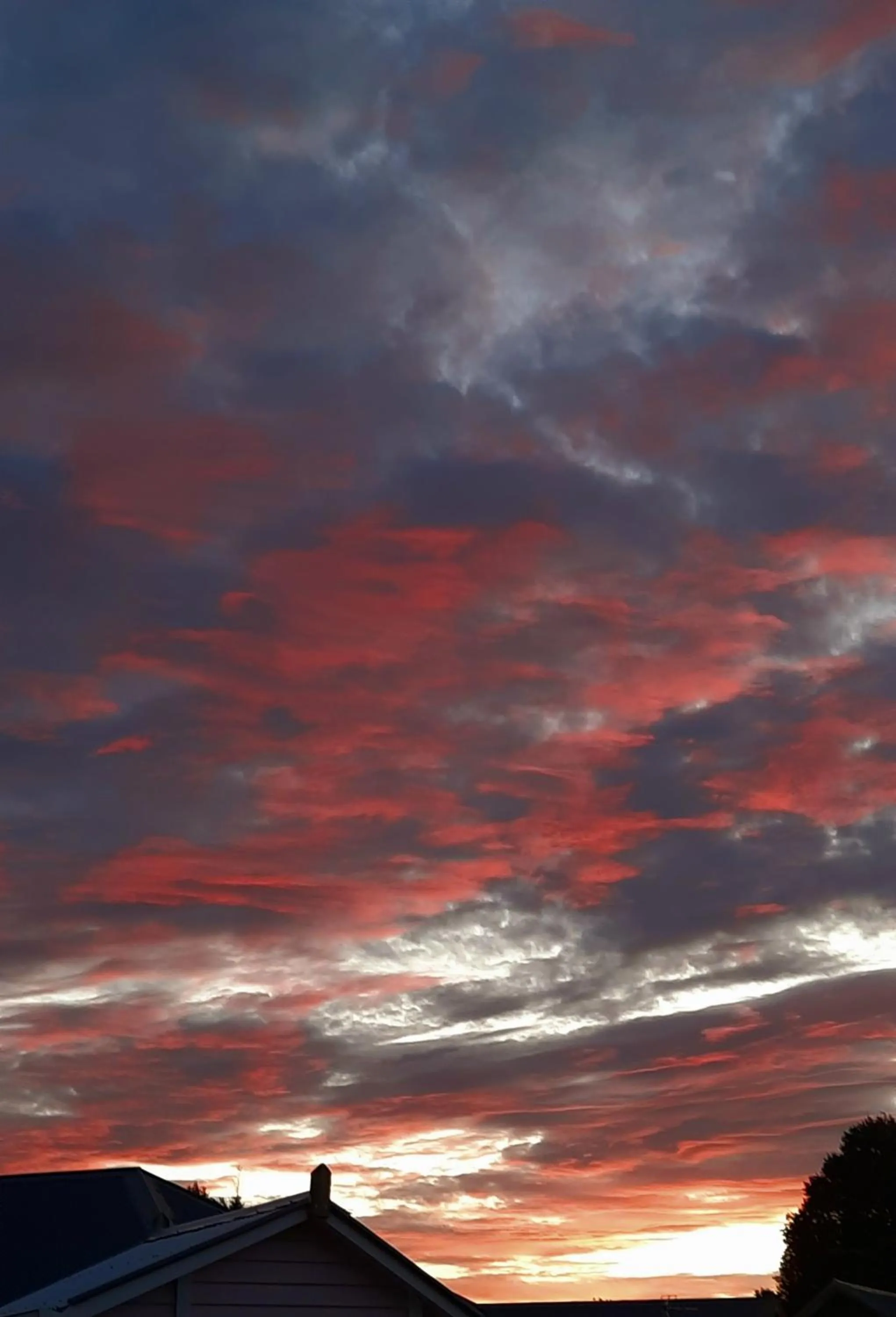 Sunset in 113 On Park