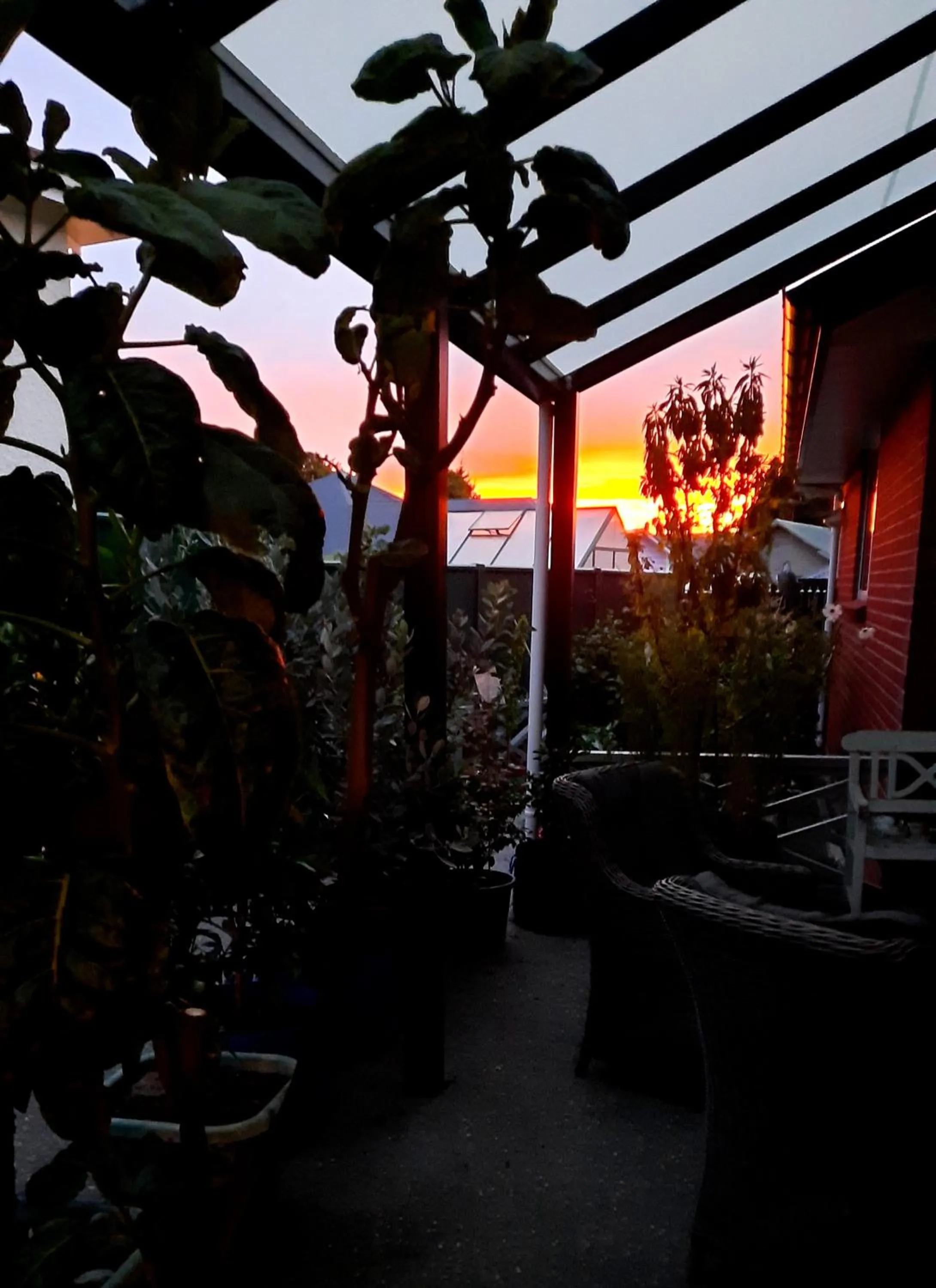 Sunrise in 113 On Park