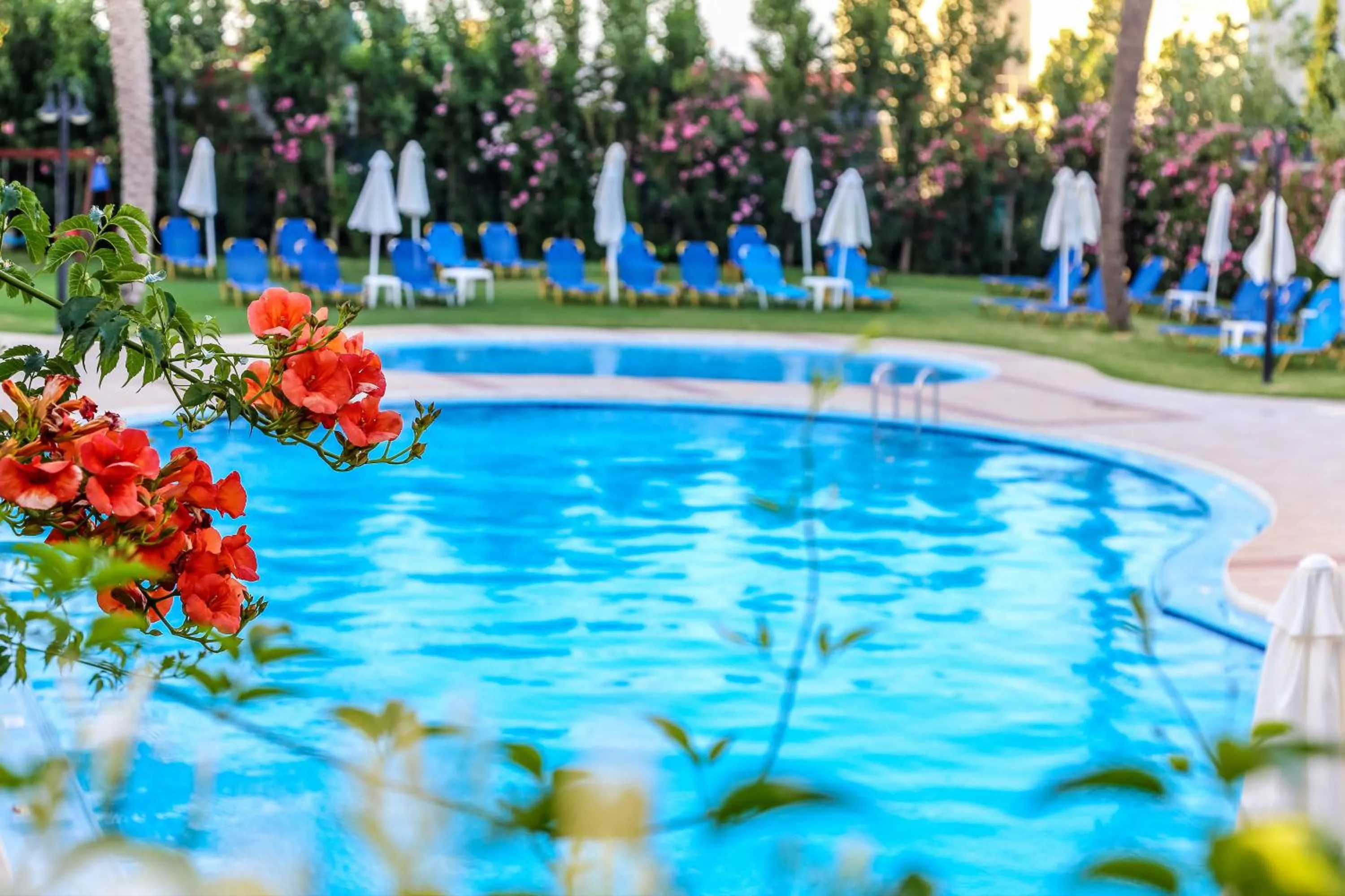 Summer in Adelais Hotel