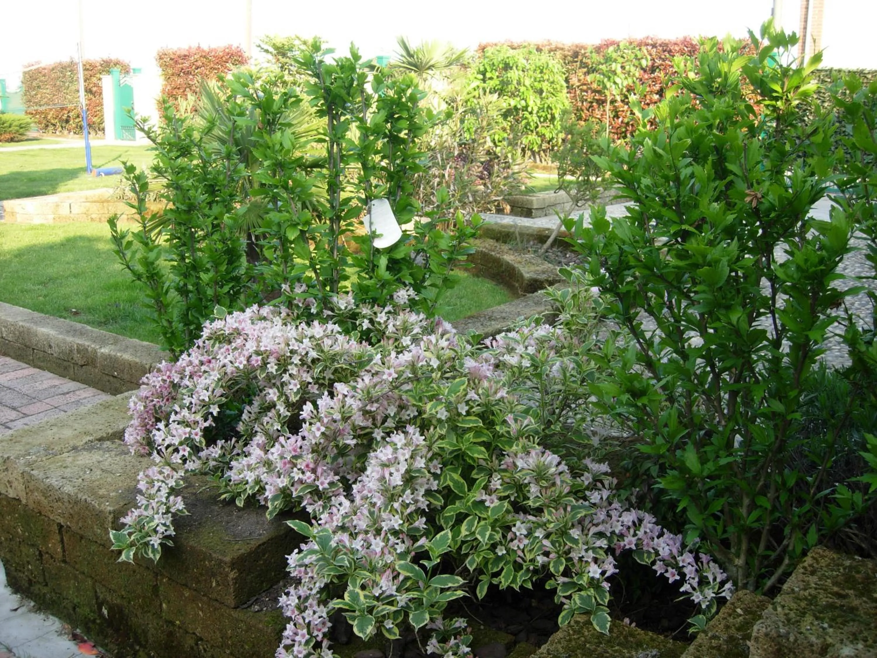 Garden in B&B Il Pioppo E La Fonte