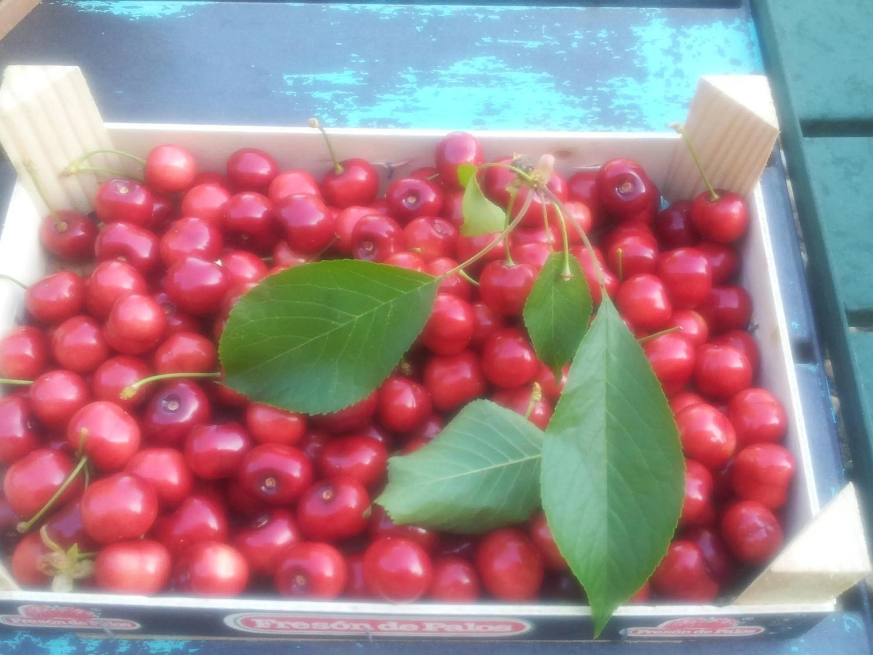 Food and drinks in B&B Il Pioppo E La Fonte