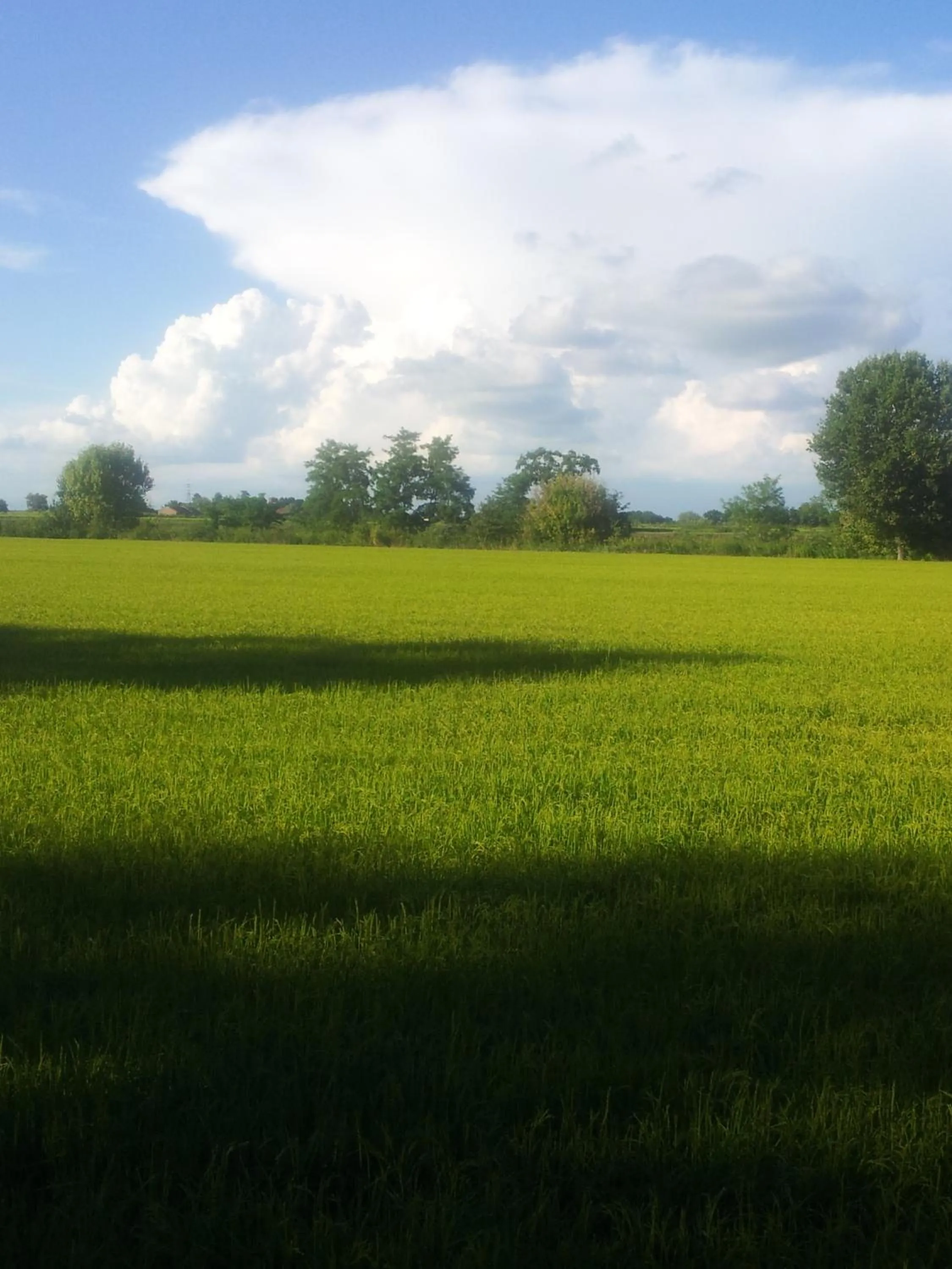 Natural landscape in B&B Il Pioppo E La Fonte