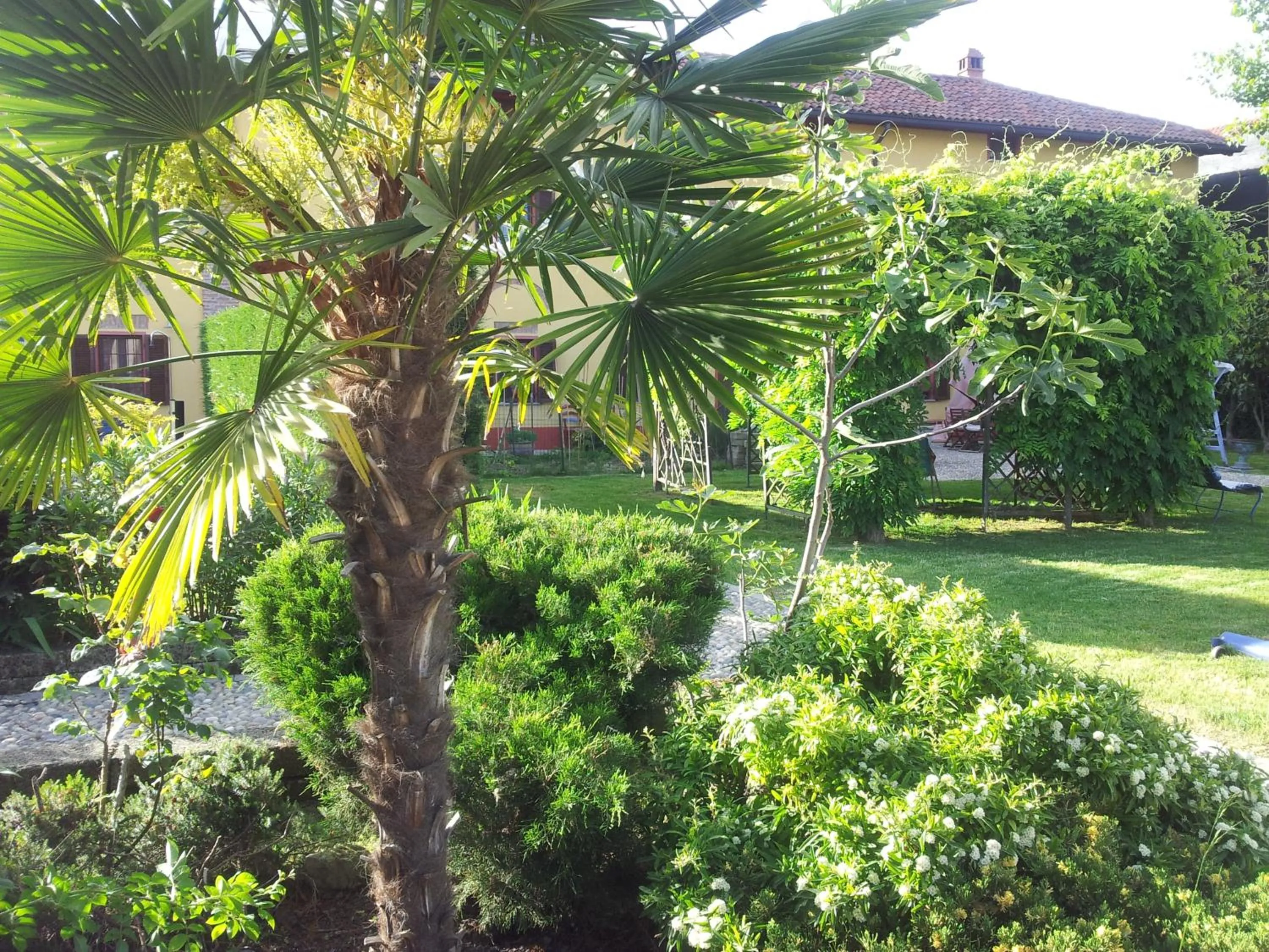 Spring in B&B Il Pioppo E La Fonte