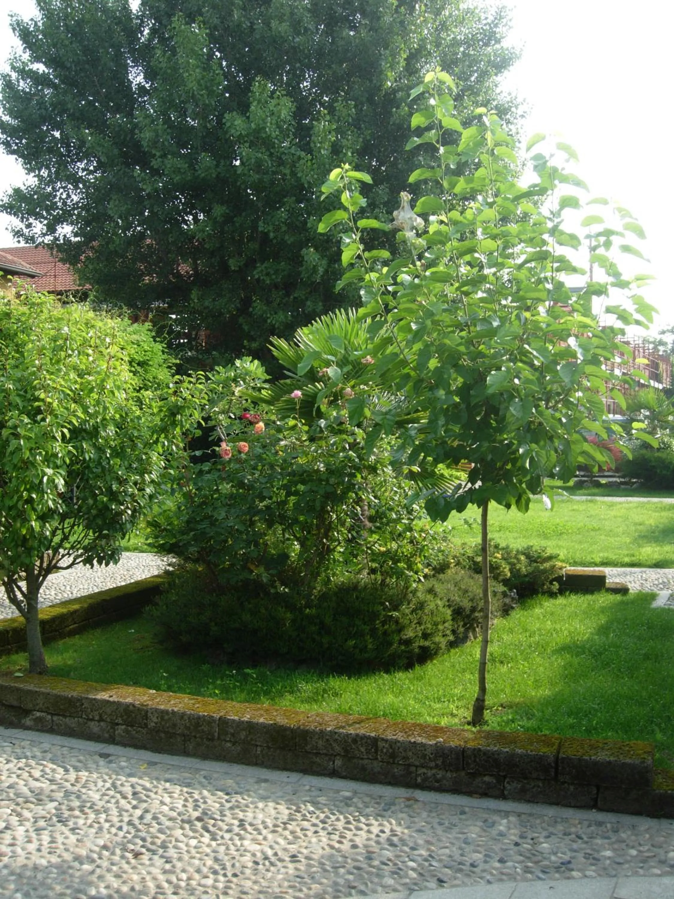 Garden in B&B Il Pioppo E La Fonte