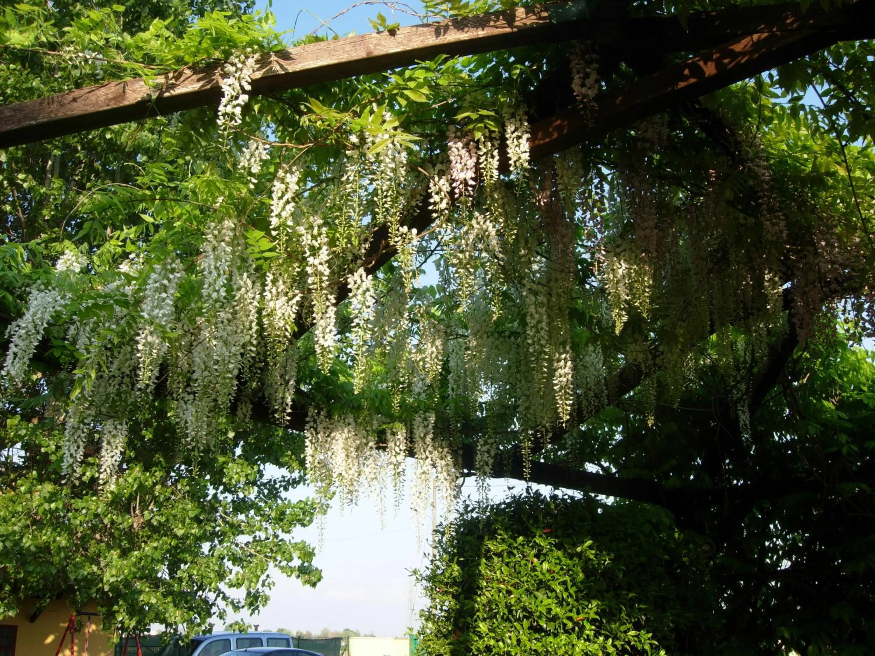 Garden in B&B Il Pioppo E La Fonte