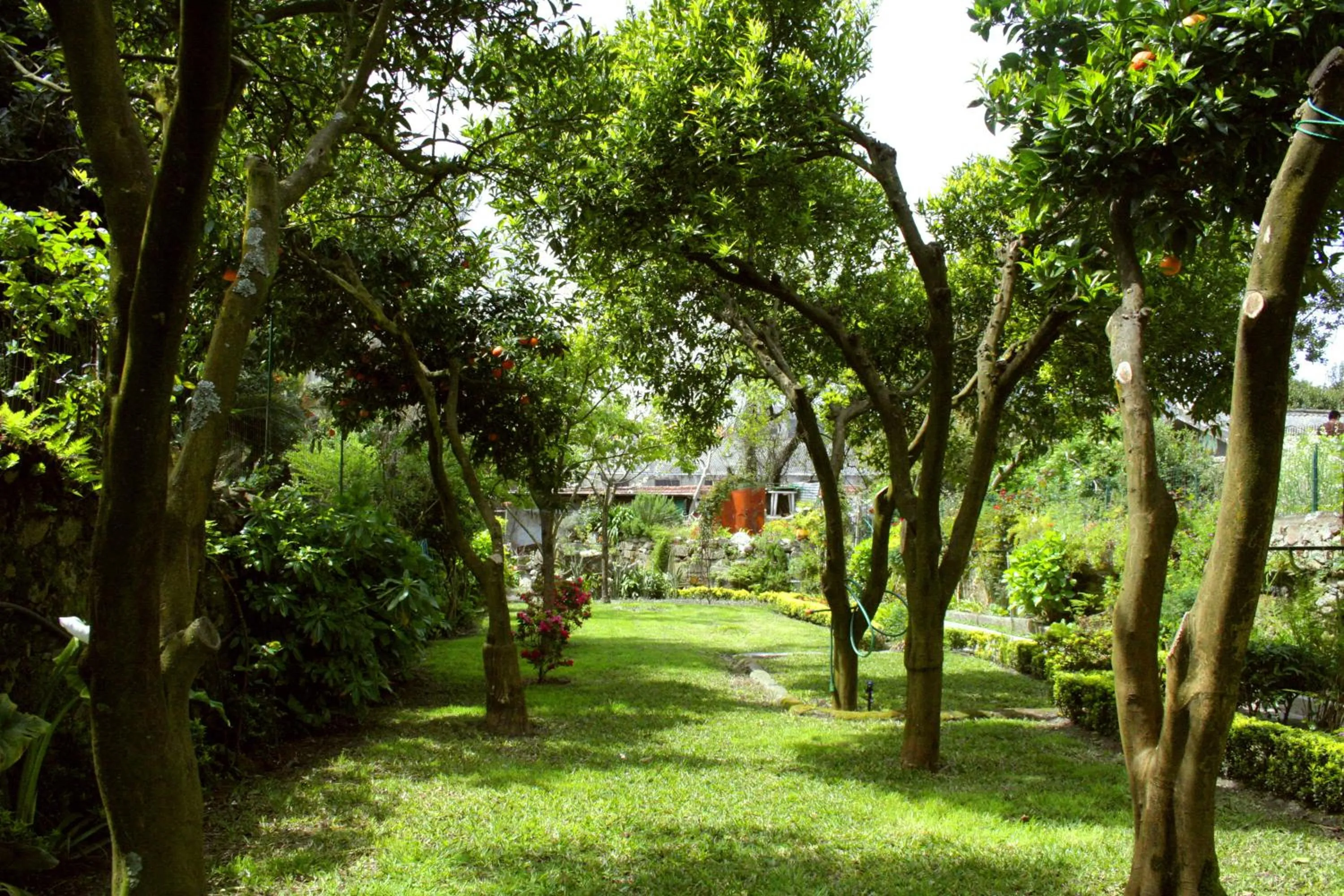 Garden in Hotel Estoril Porto
