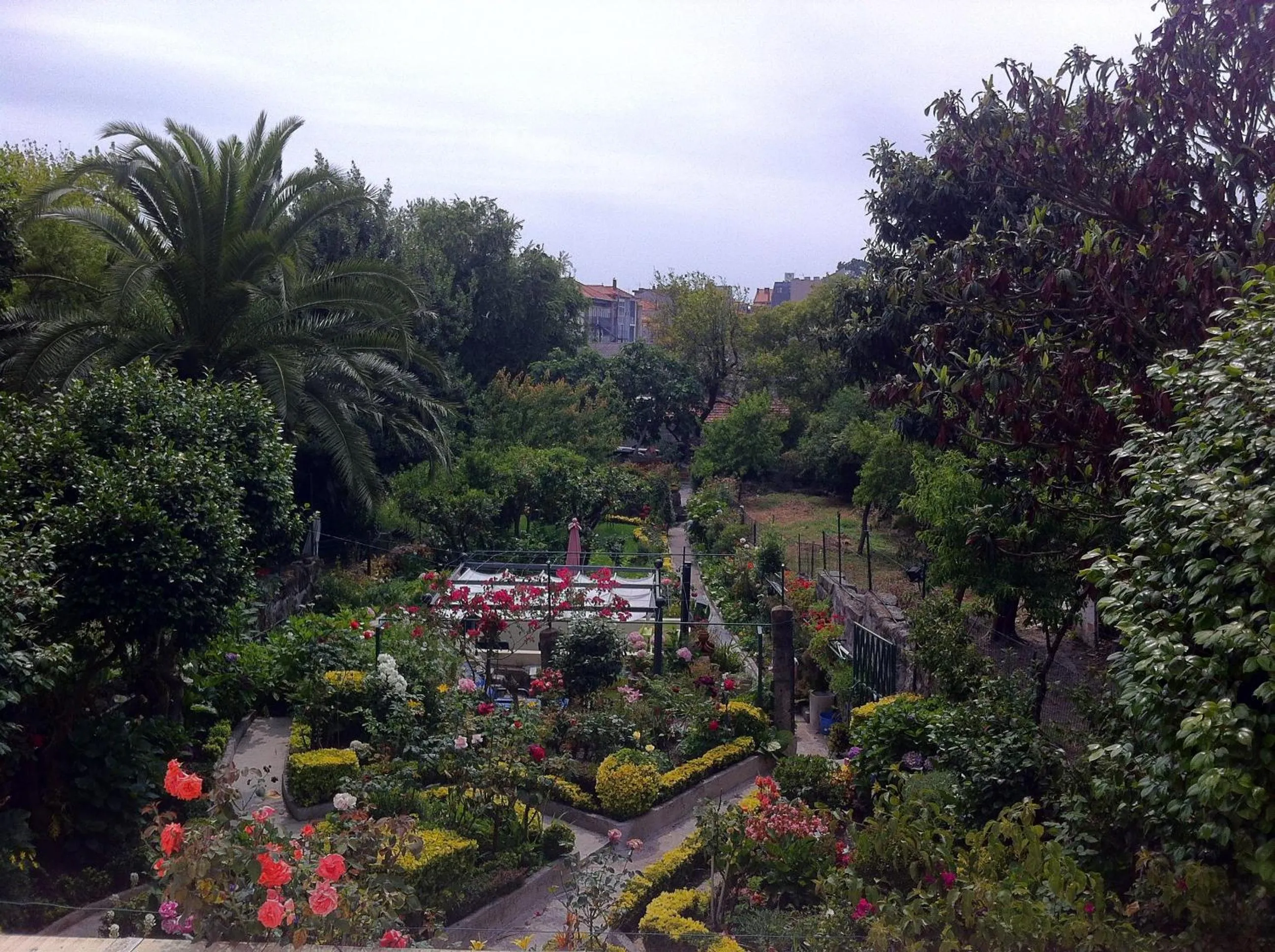 Garden in Hotel Estoril Porto