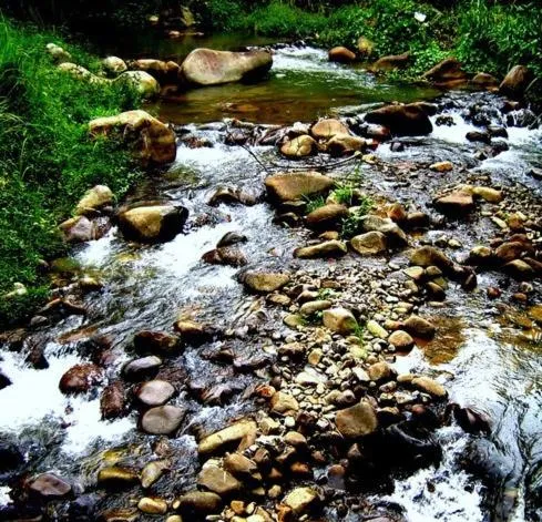 Seri Pengantin Resort