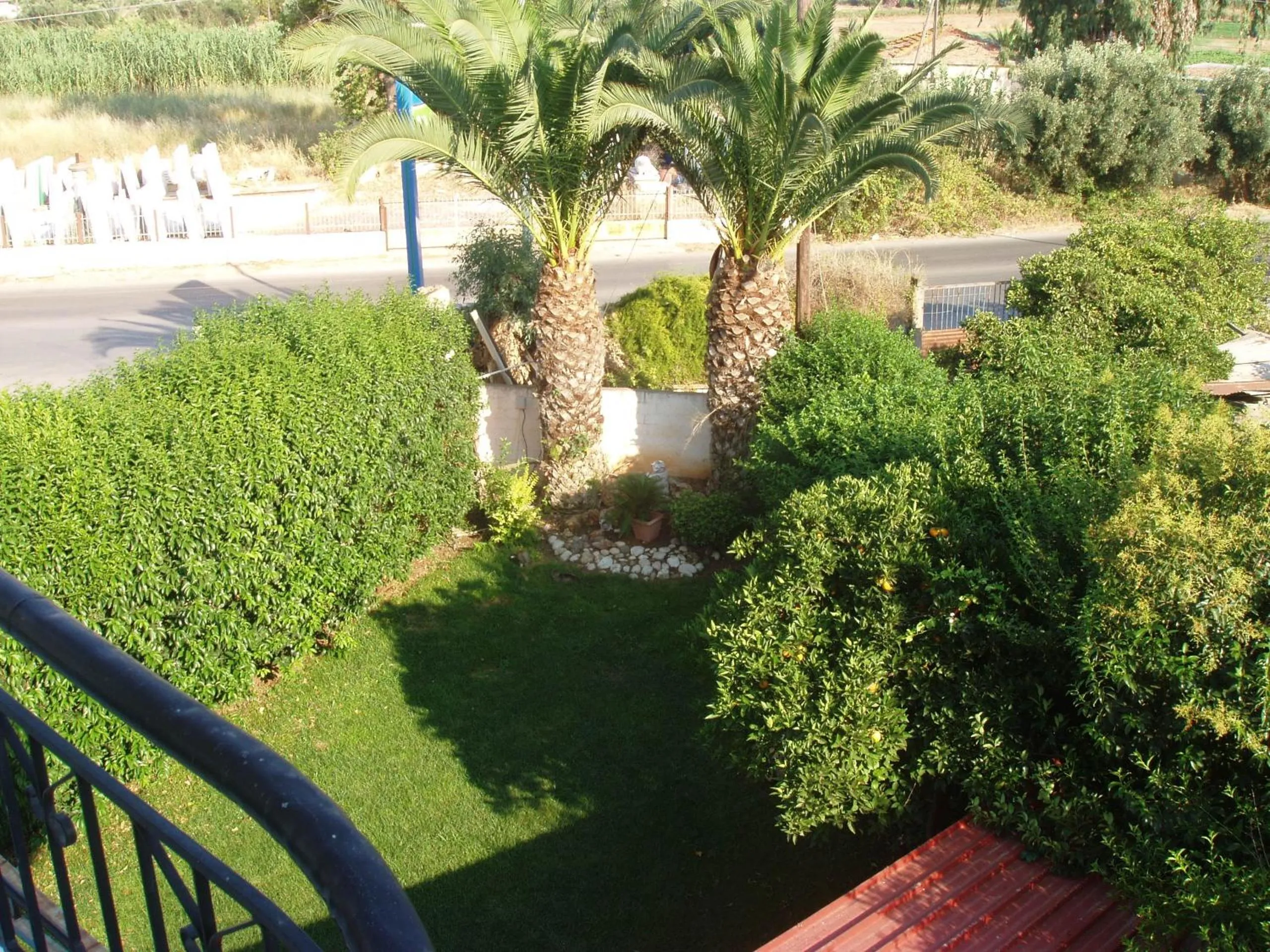 Garden in Hotel Drosia