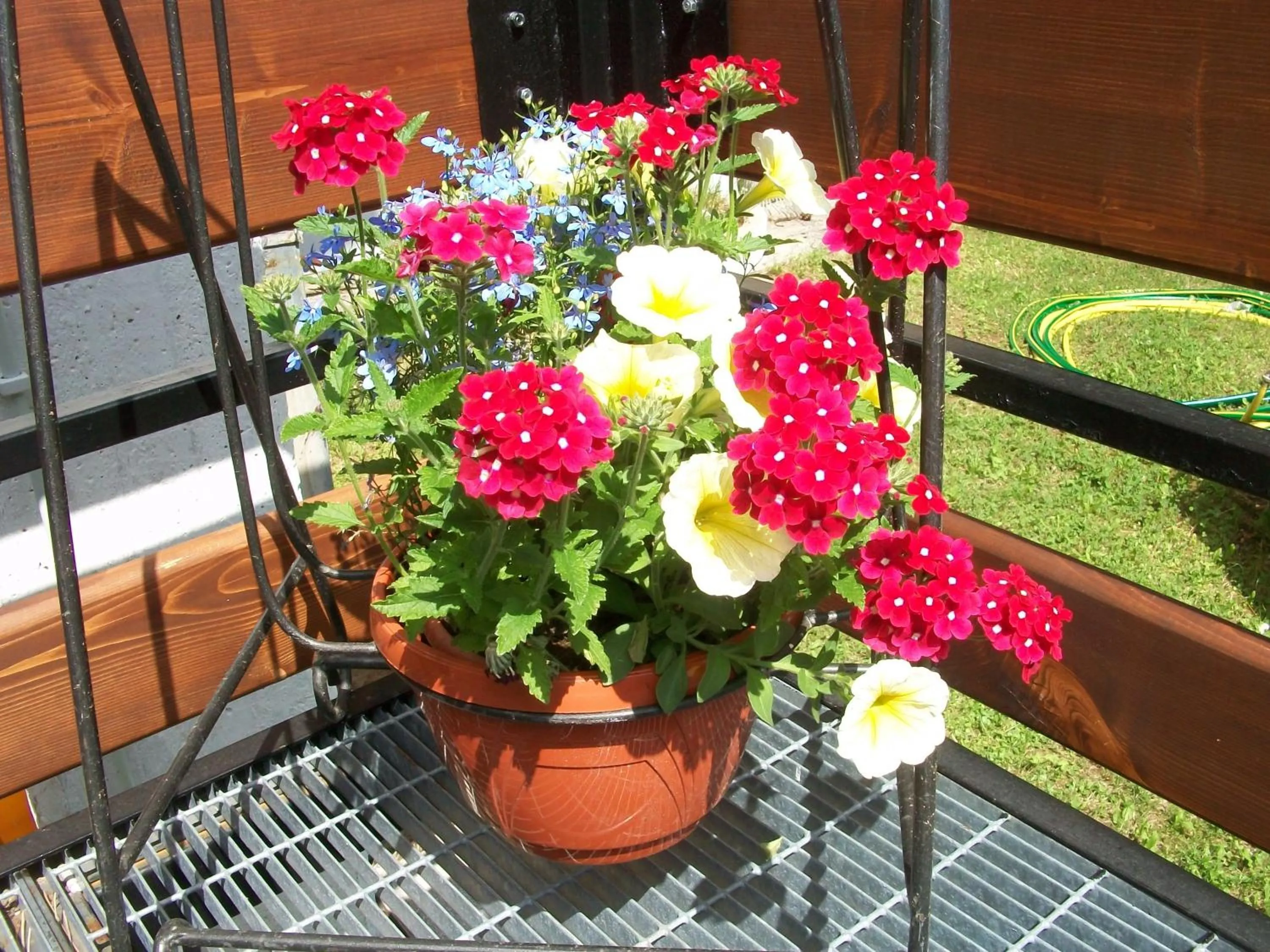 Decorative detail in Hotel Caldora