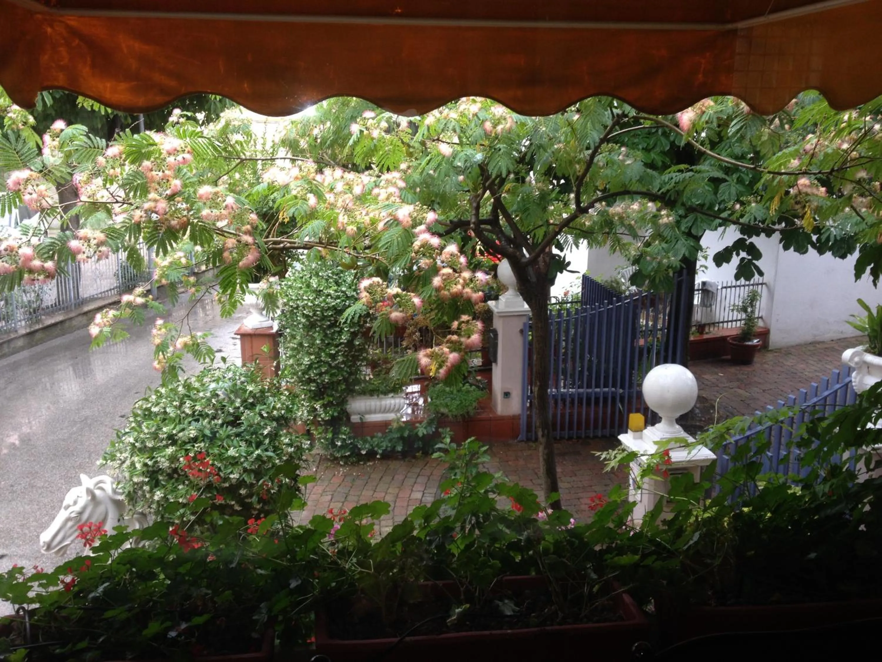 Garden in Hotel Derby