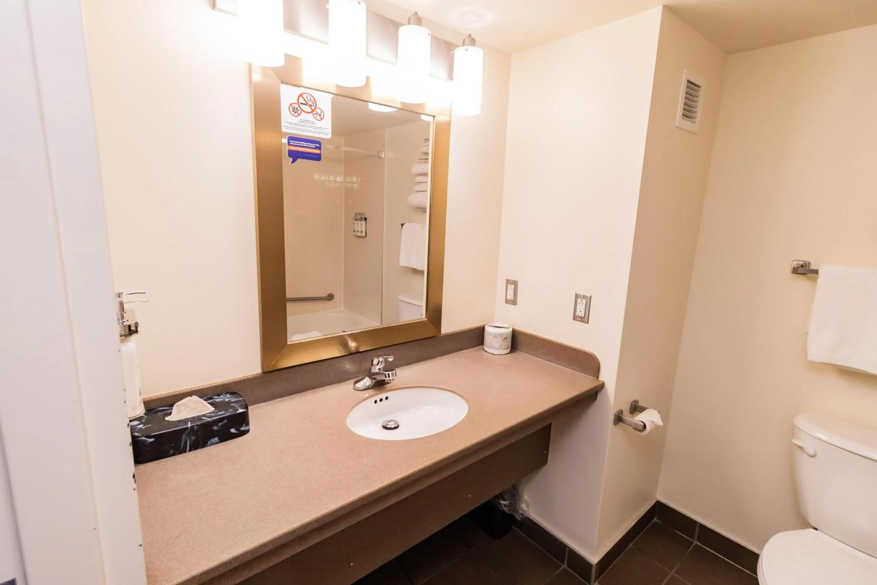 Bathroom in Deer Lake Horizon Hotel, BW Signature Collection