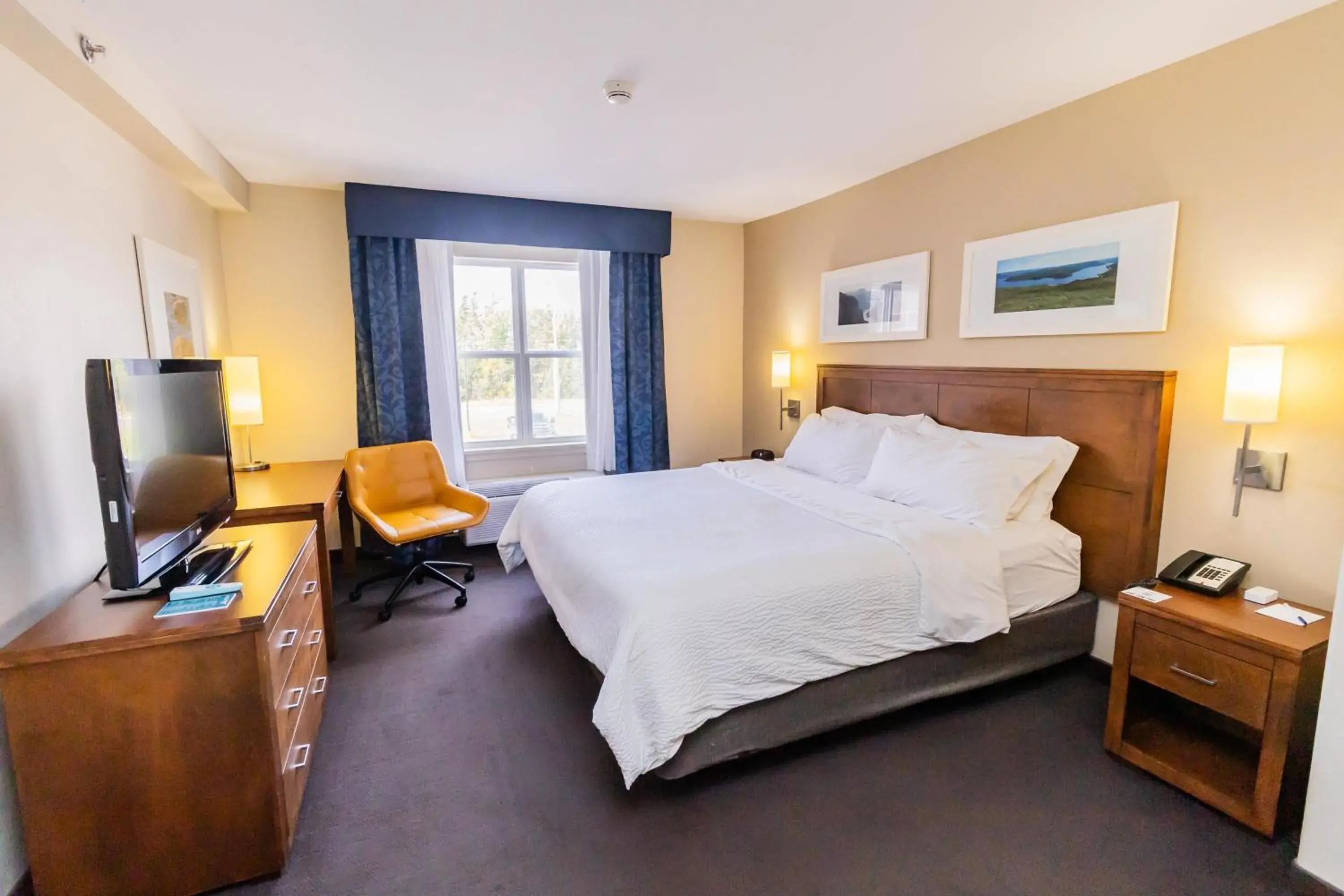 King Suite with Sofa Bed - Non-Smoking in Deer Lake Horizon Hotel, BW Signature Collection King Suite with Sofa Bed - Non-Smoking in Deer Lake Horizon Hotel, BW Signature Collection