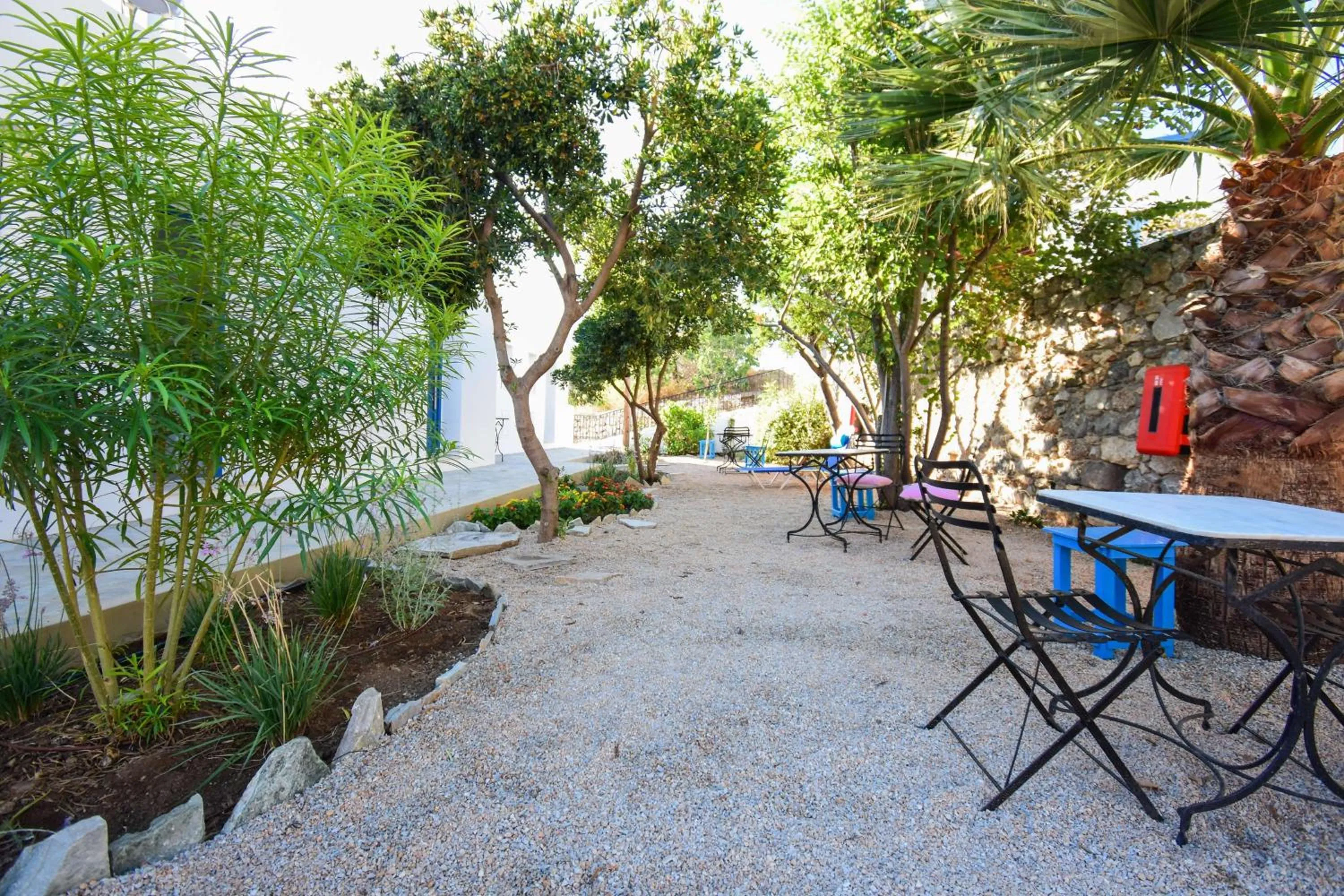 Garden in Aphrodite Studios