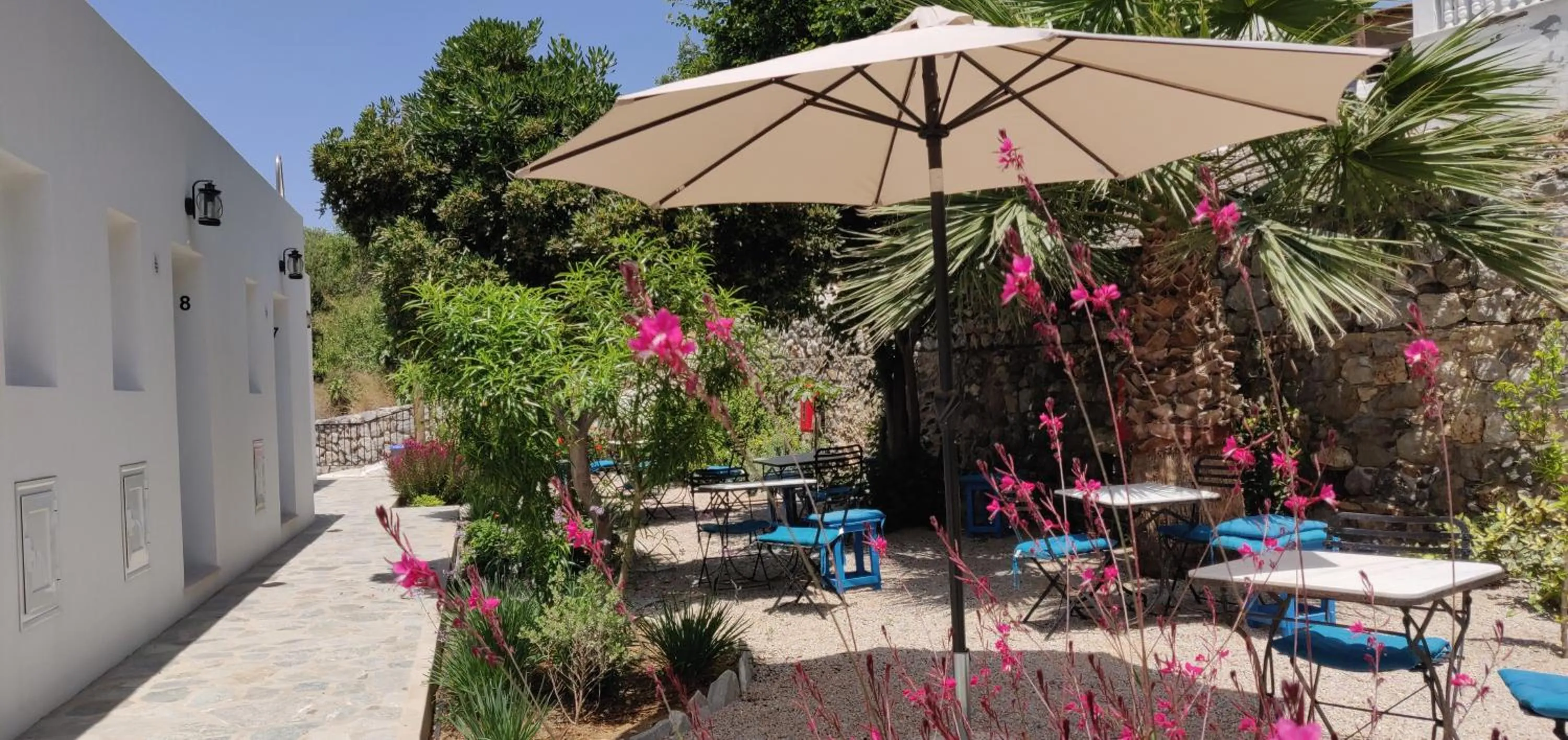 Day in Aphrodite Studios