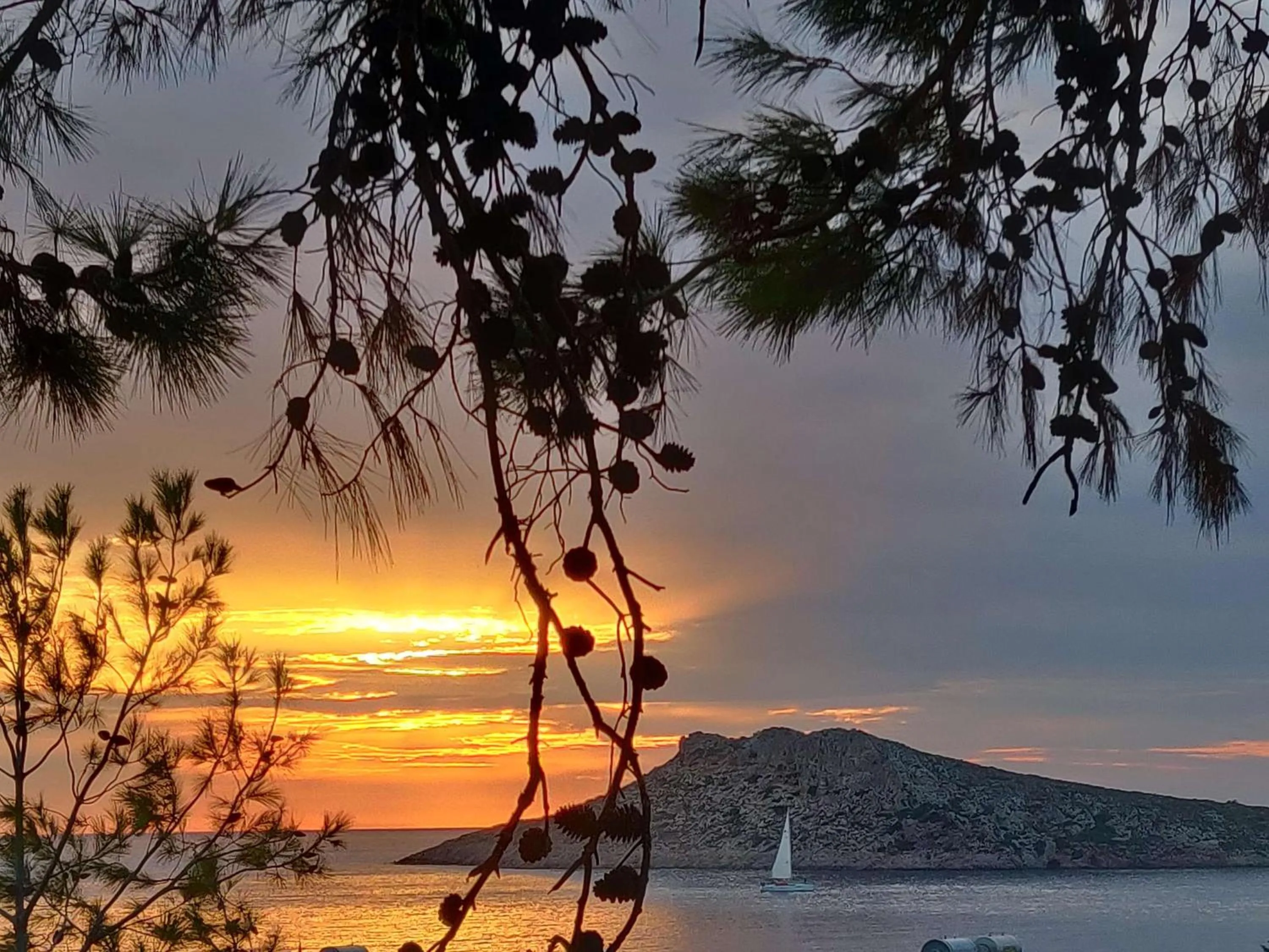 Natural landscape in Aphrodite Studios