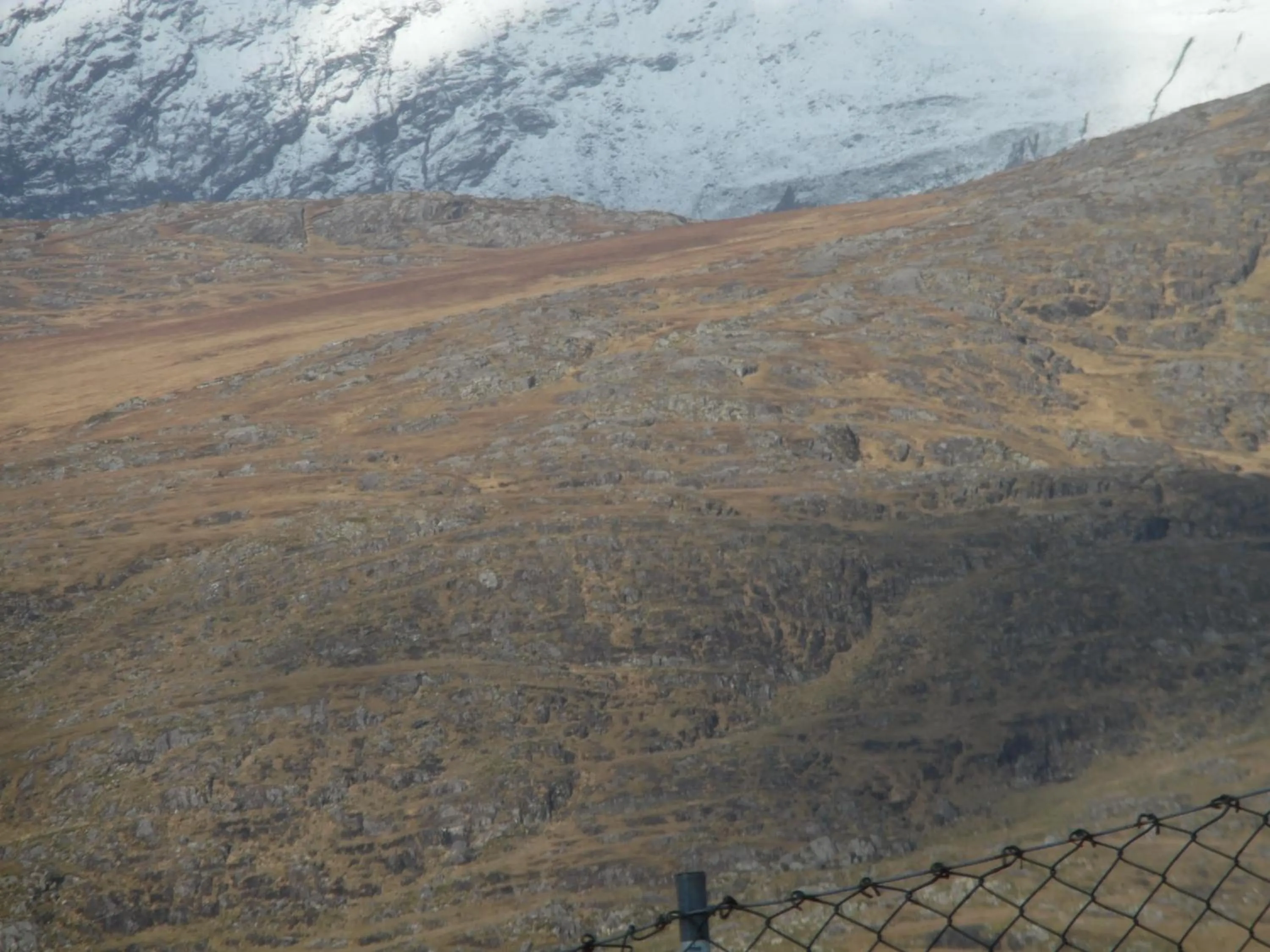 Mountain view in River Meadows B&B