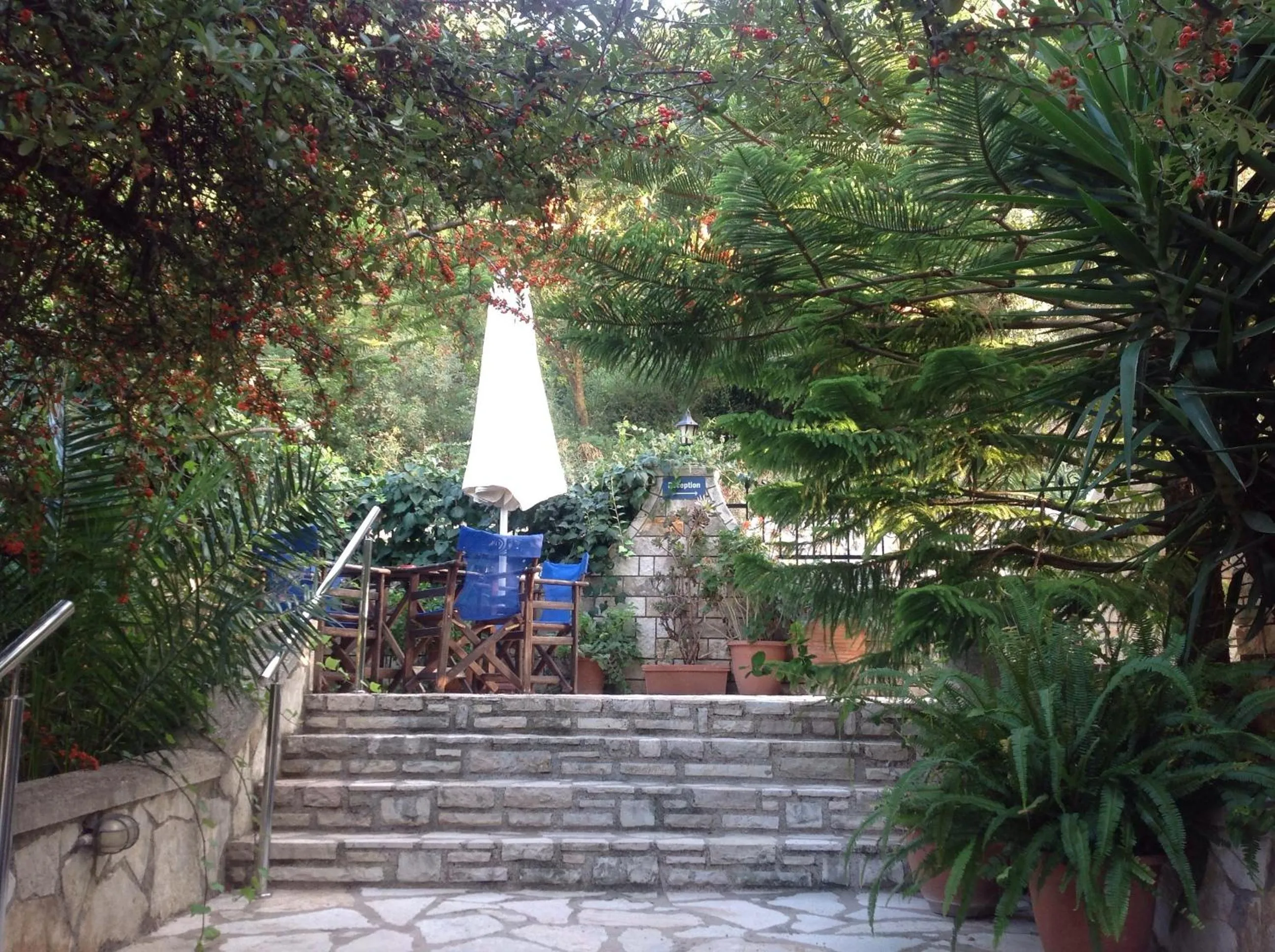 Garden view in Hotel Nostos