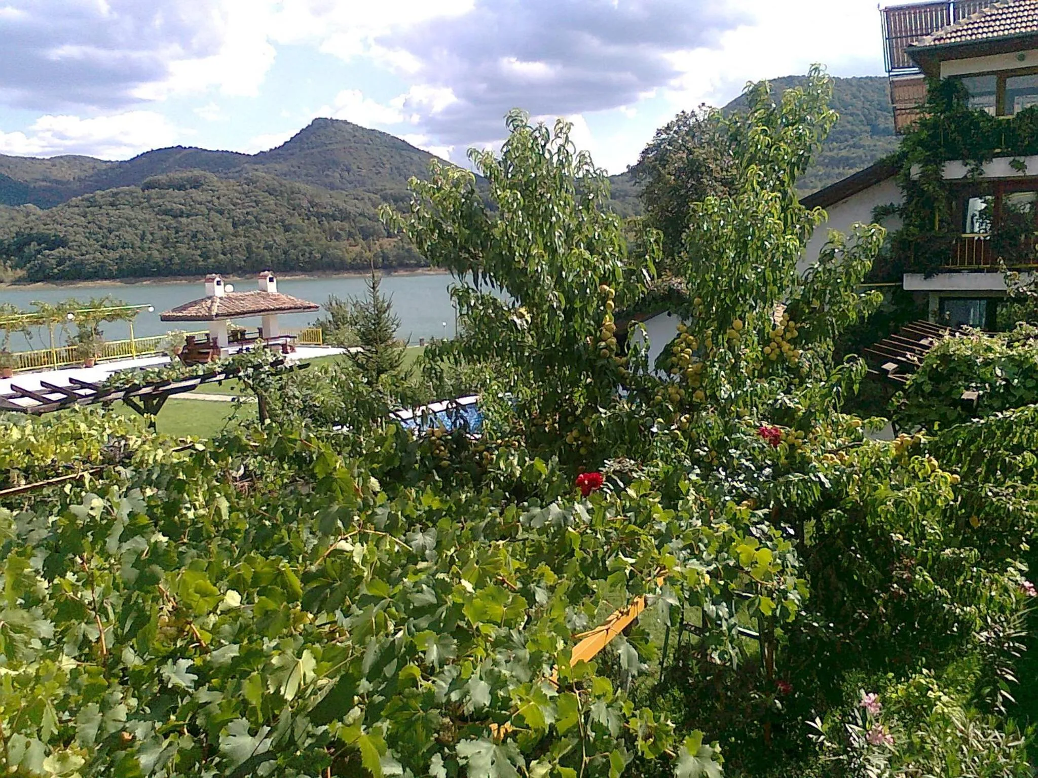 Facade/entrance in Family Hotel Belvedere