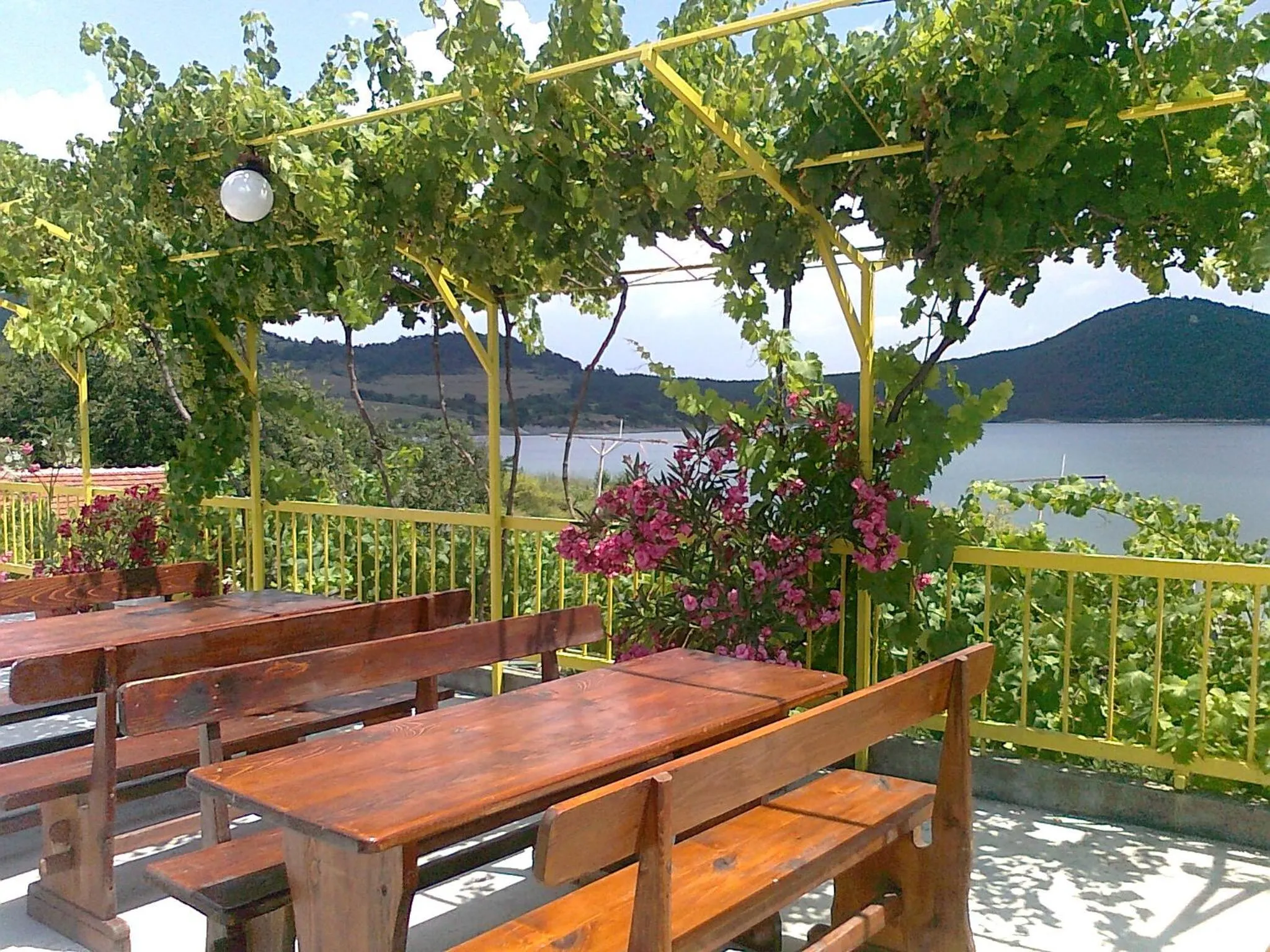 Summer in Family Hotel Belvedere