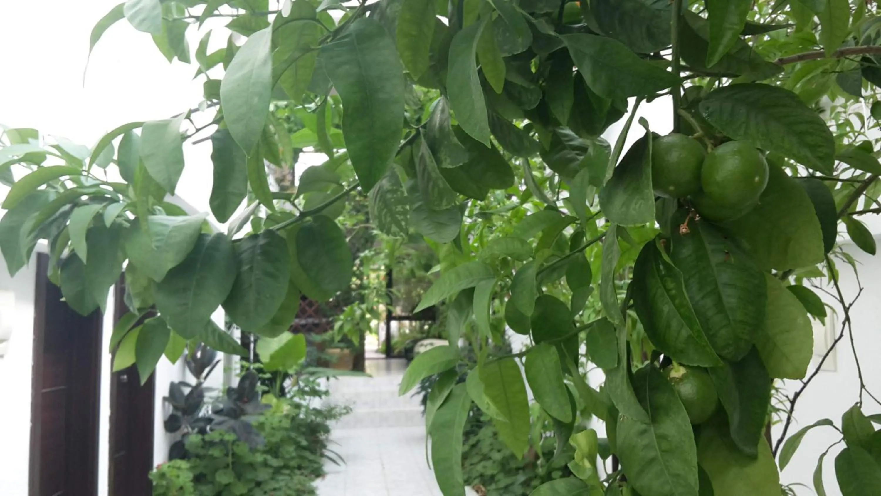 Day in Family Hotel Belvedere