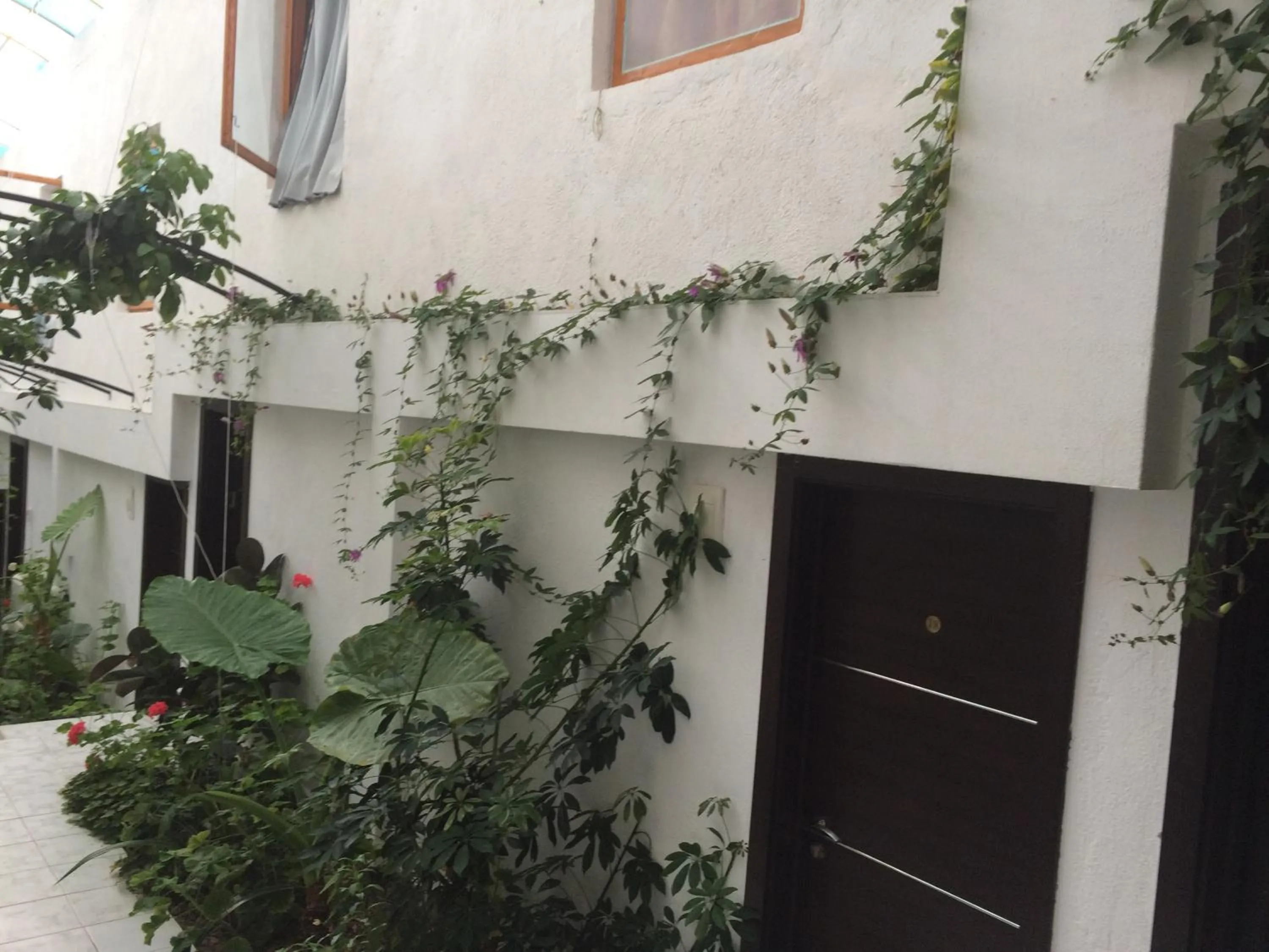 Patio in Family Hotel Belvedere