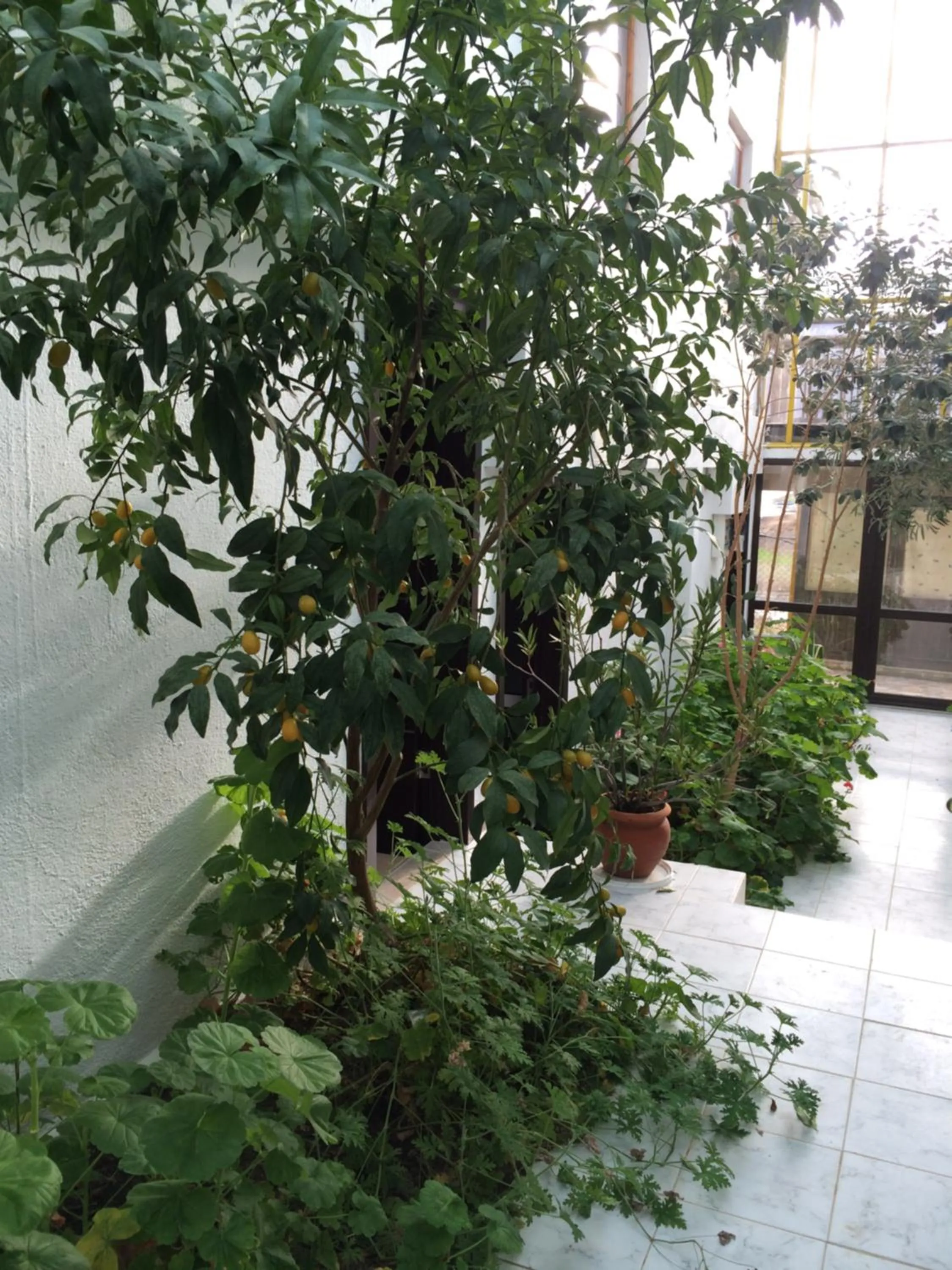 Winter in Family Hotel Belvedere