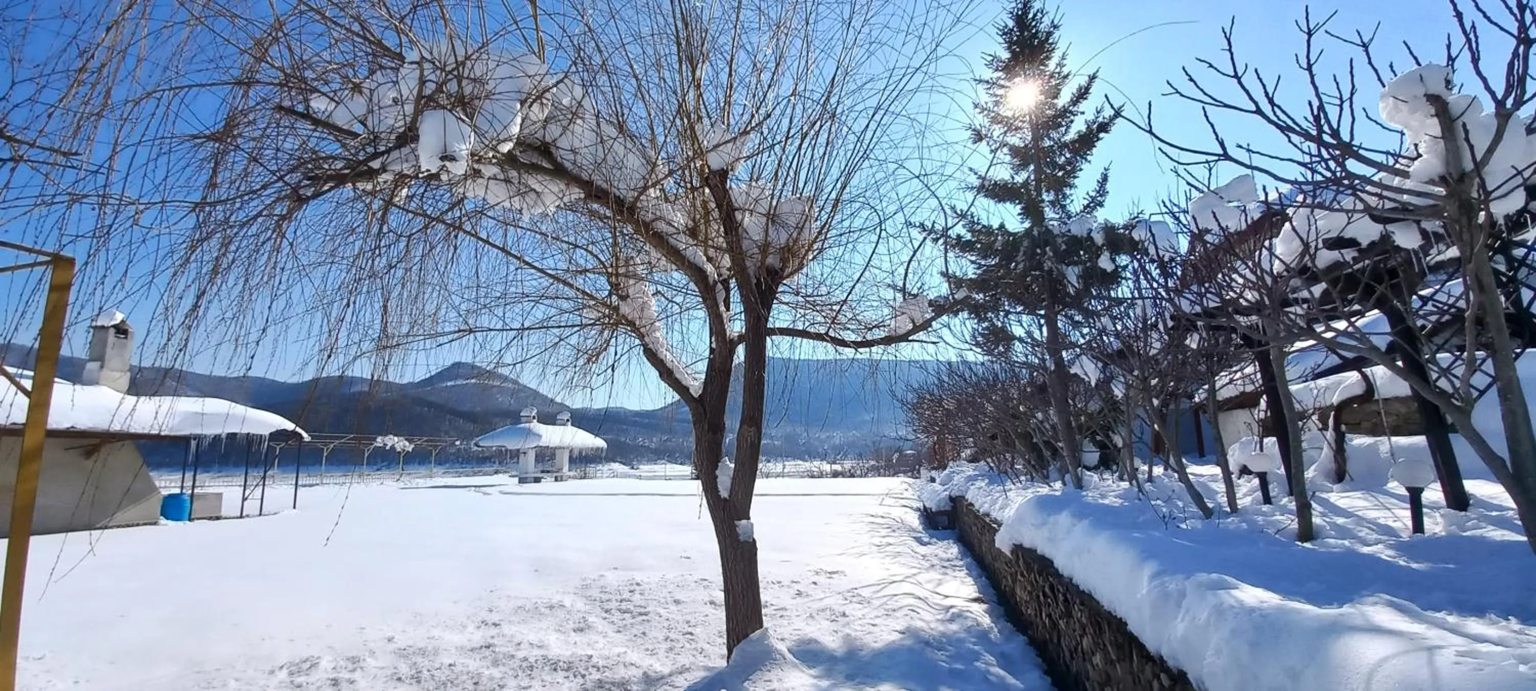 Family Hotel Belvedere