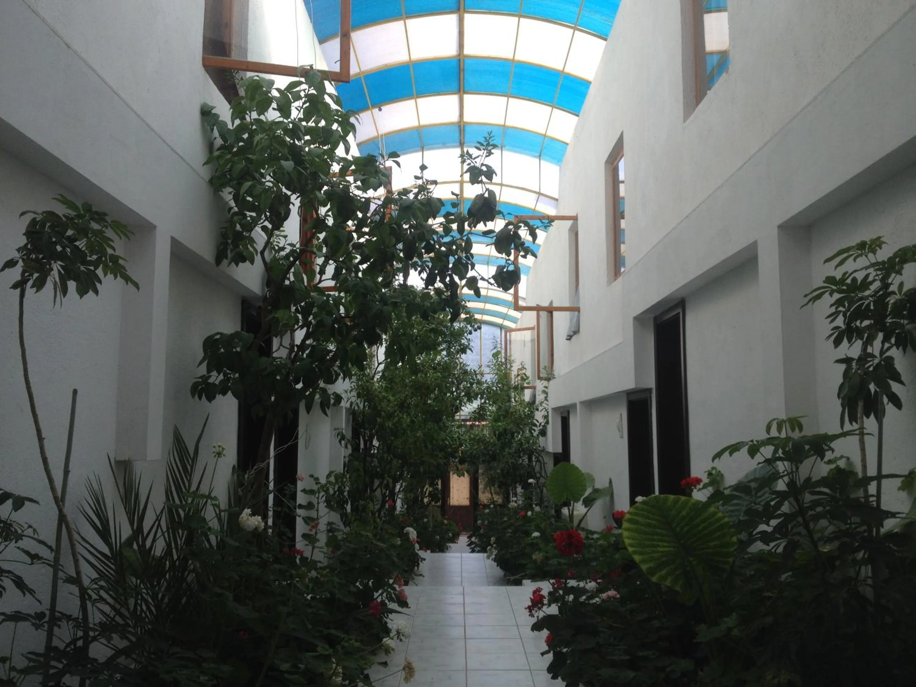 Garden in Family Hotel Belvedere