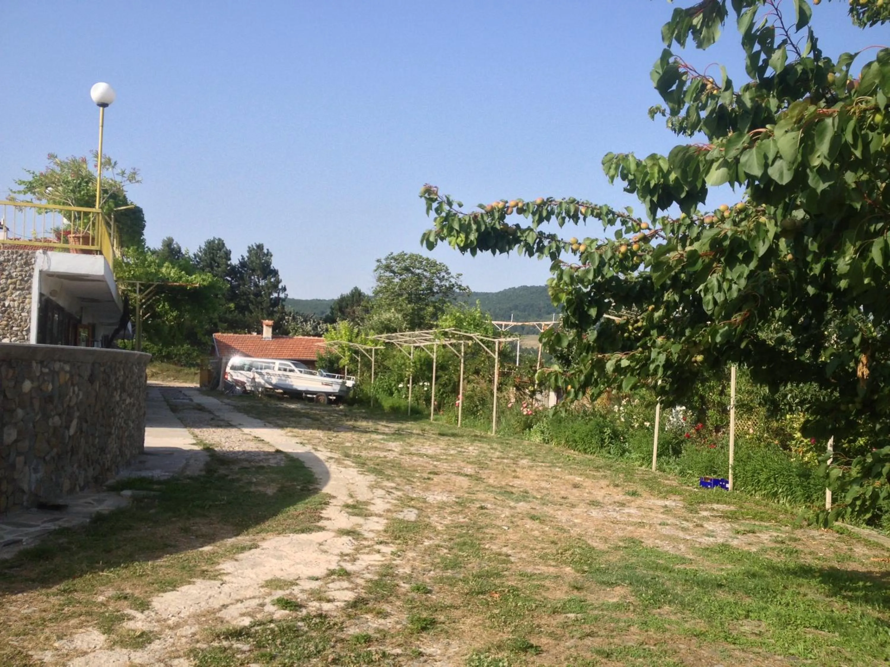 Garden in Family Hotel Belvedere
