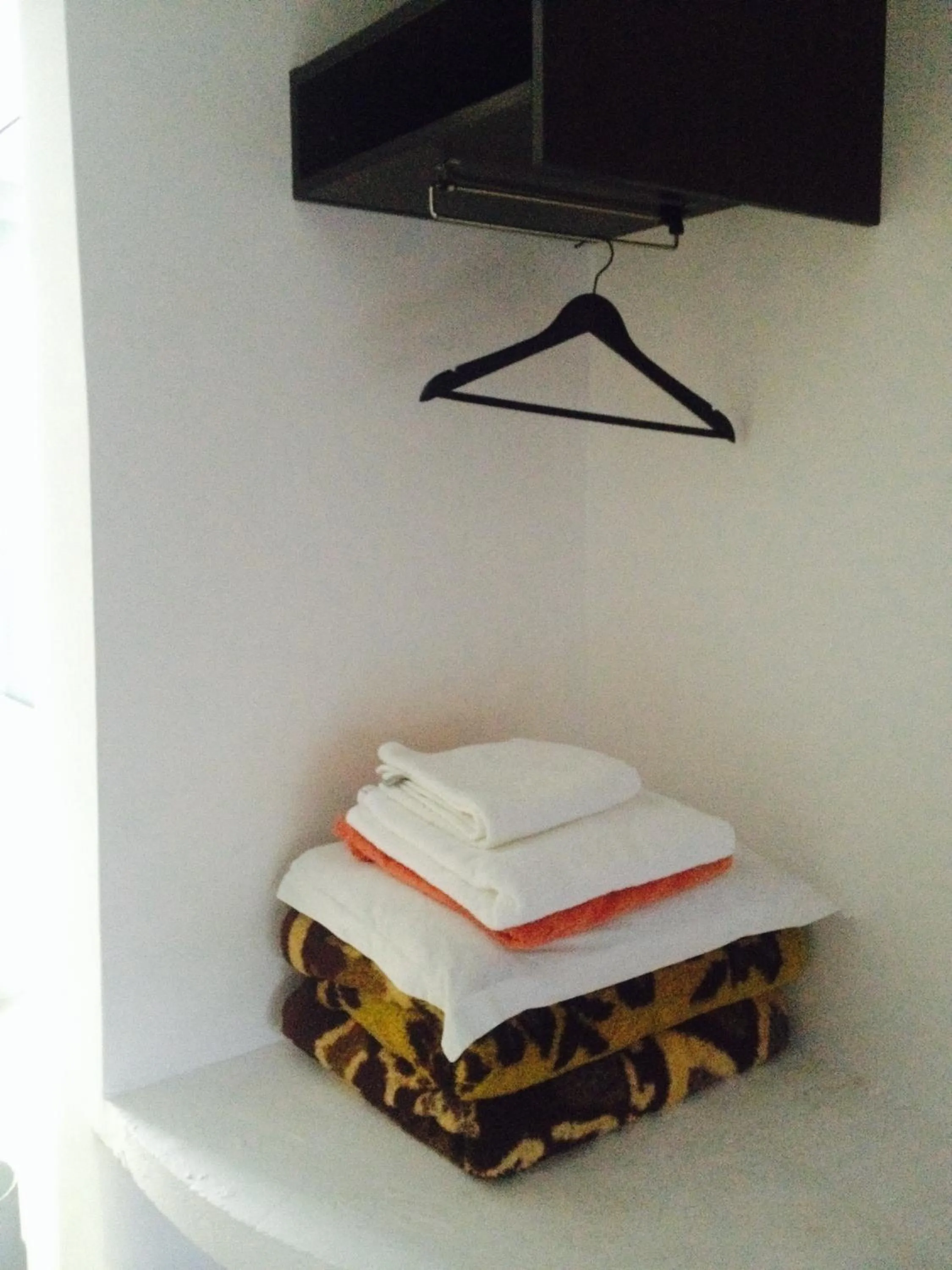 Area and facilities in Family Hotel Belvedere