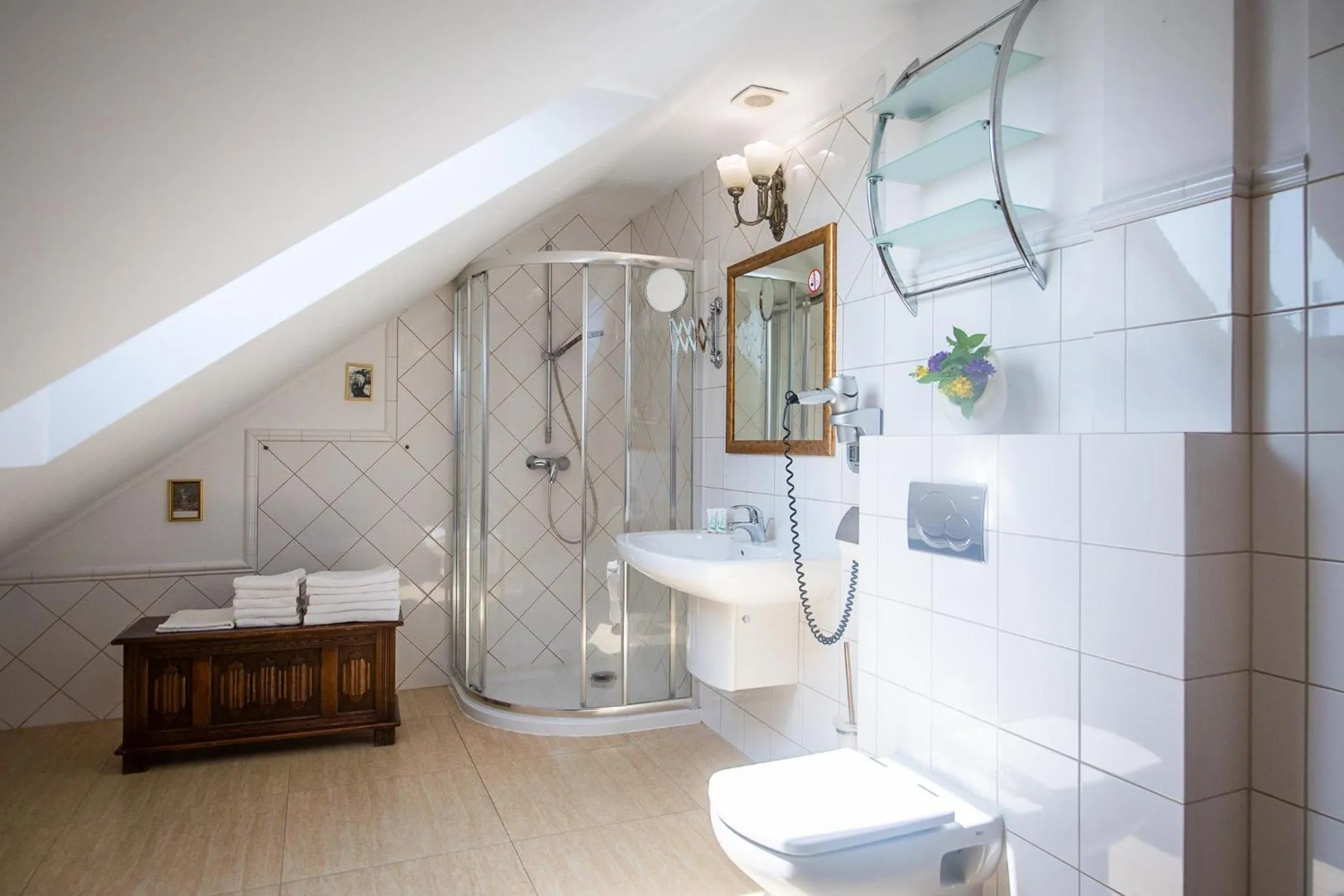 Shower in Apartamenty Galeria Trunków