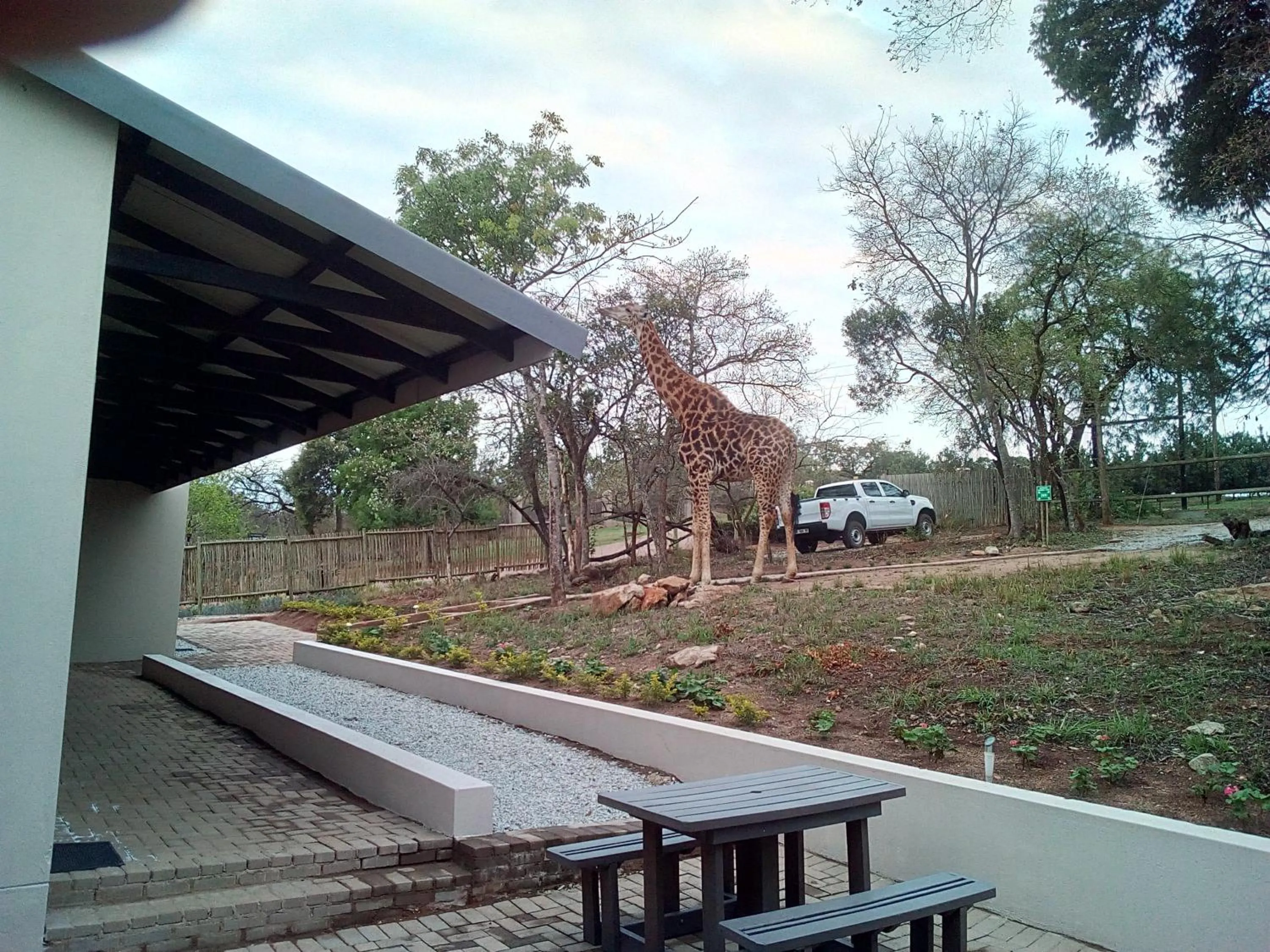 Property building in Hazyview Buffalo Game Lodge