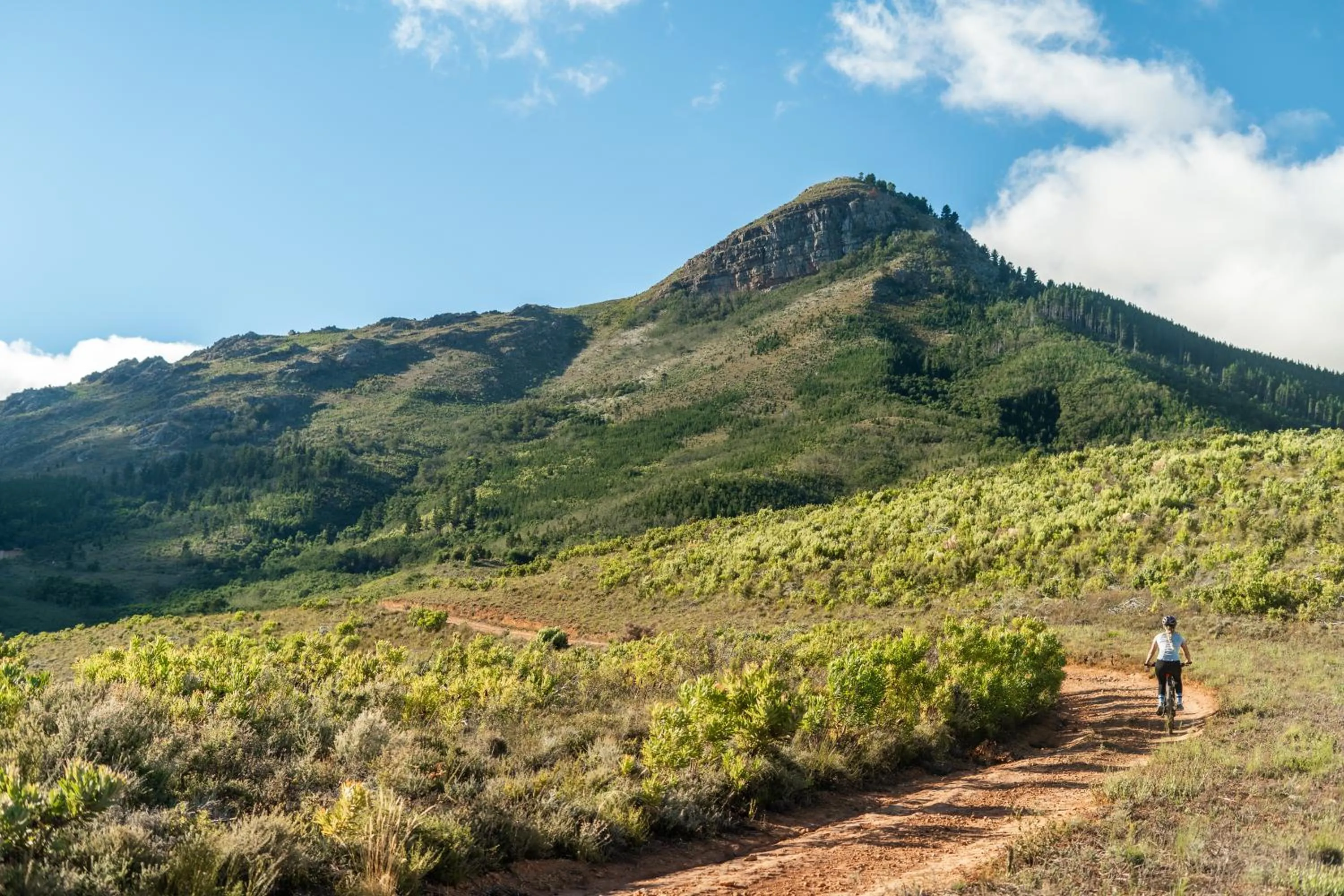 Property building in AfriCamps at Doolhof Wine Estate