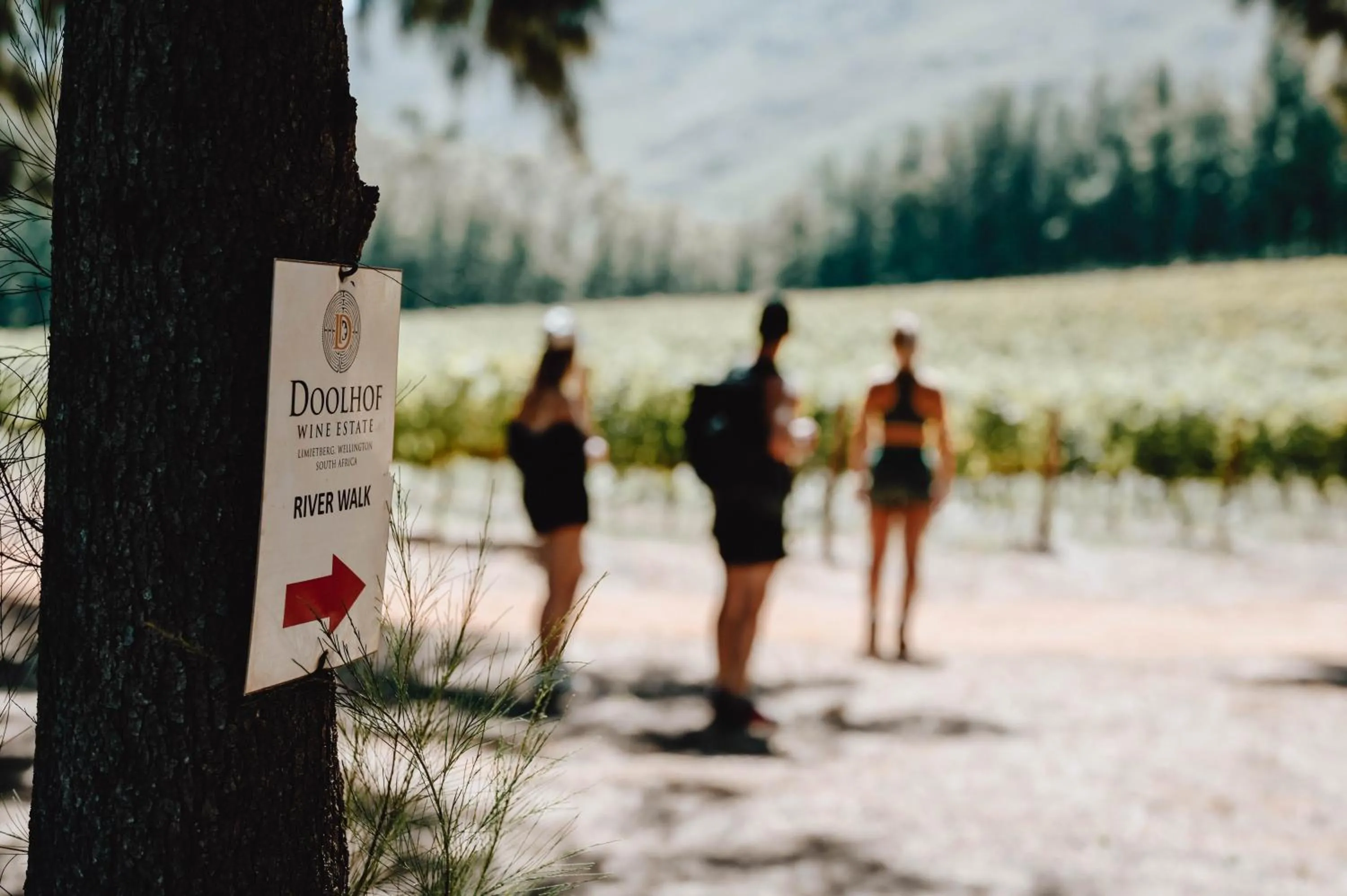 Activities in AfriCamps at Doolhof Wine Estate